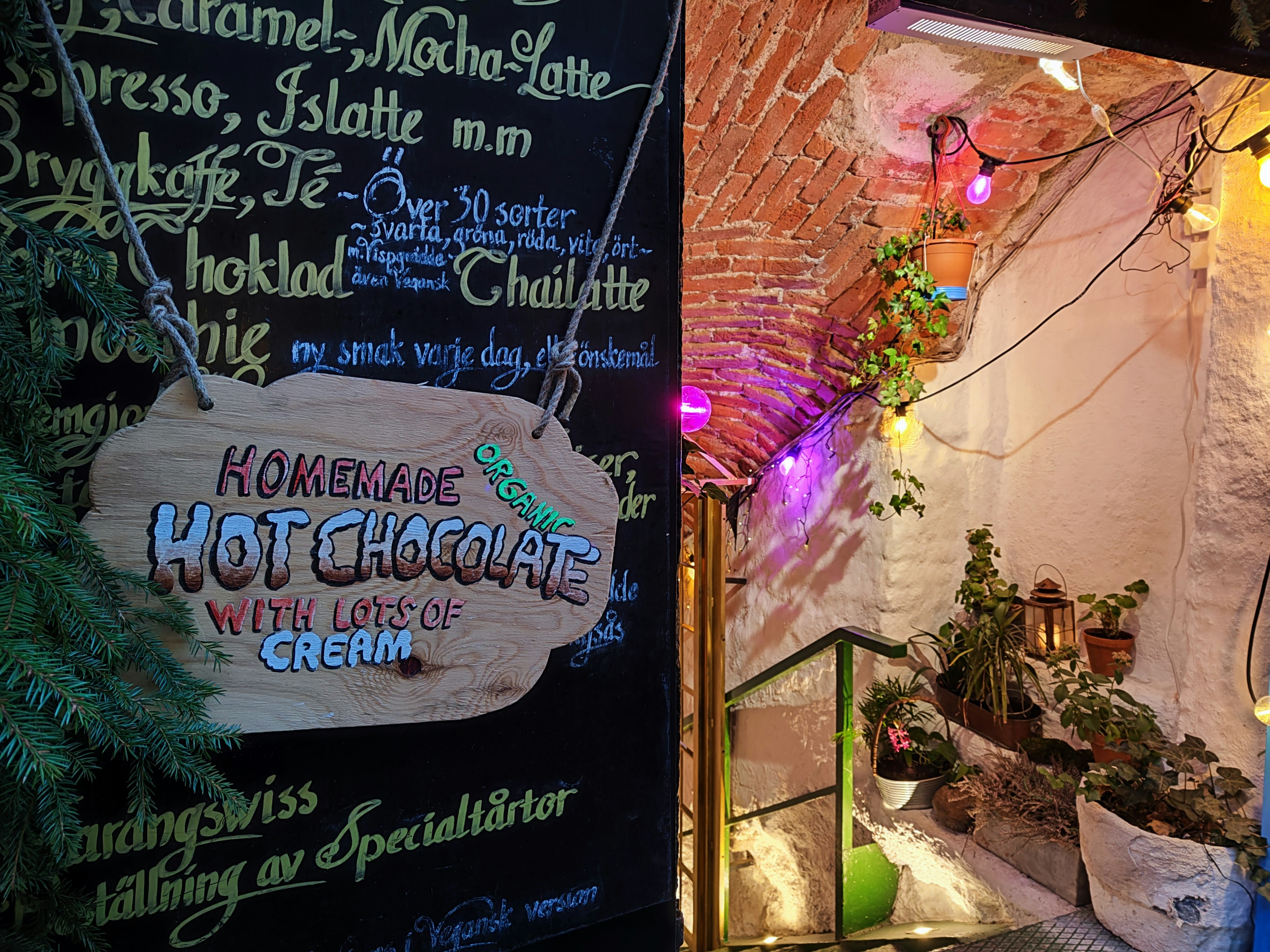 Cozy café entrance with colorful lights and plants featuring a sign for hot chocolate with ice cream