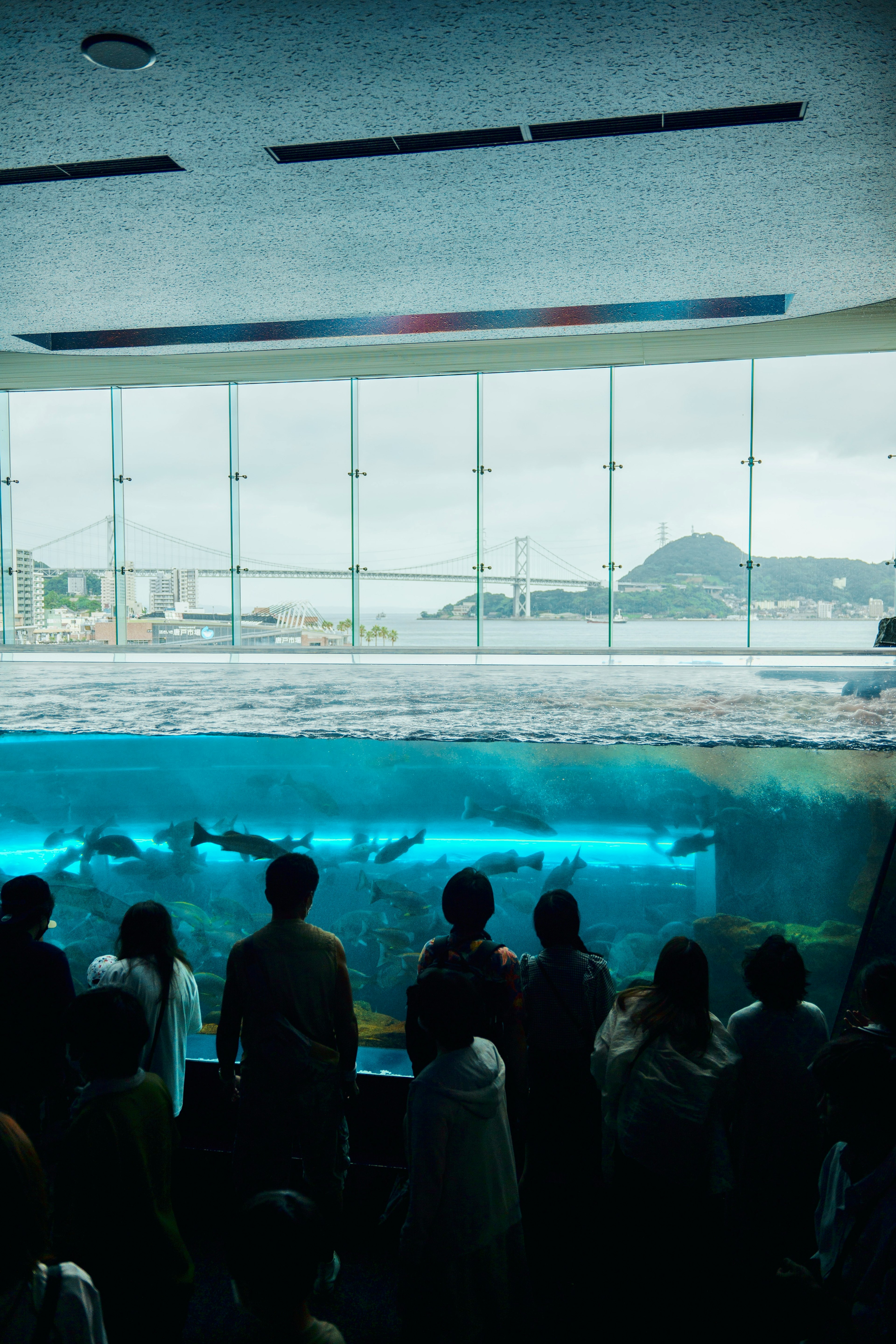 Personas observando peces nadar en un acuario azul a través de grandes ventanales