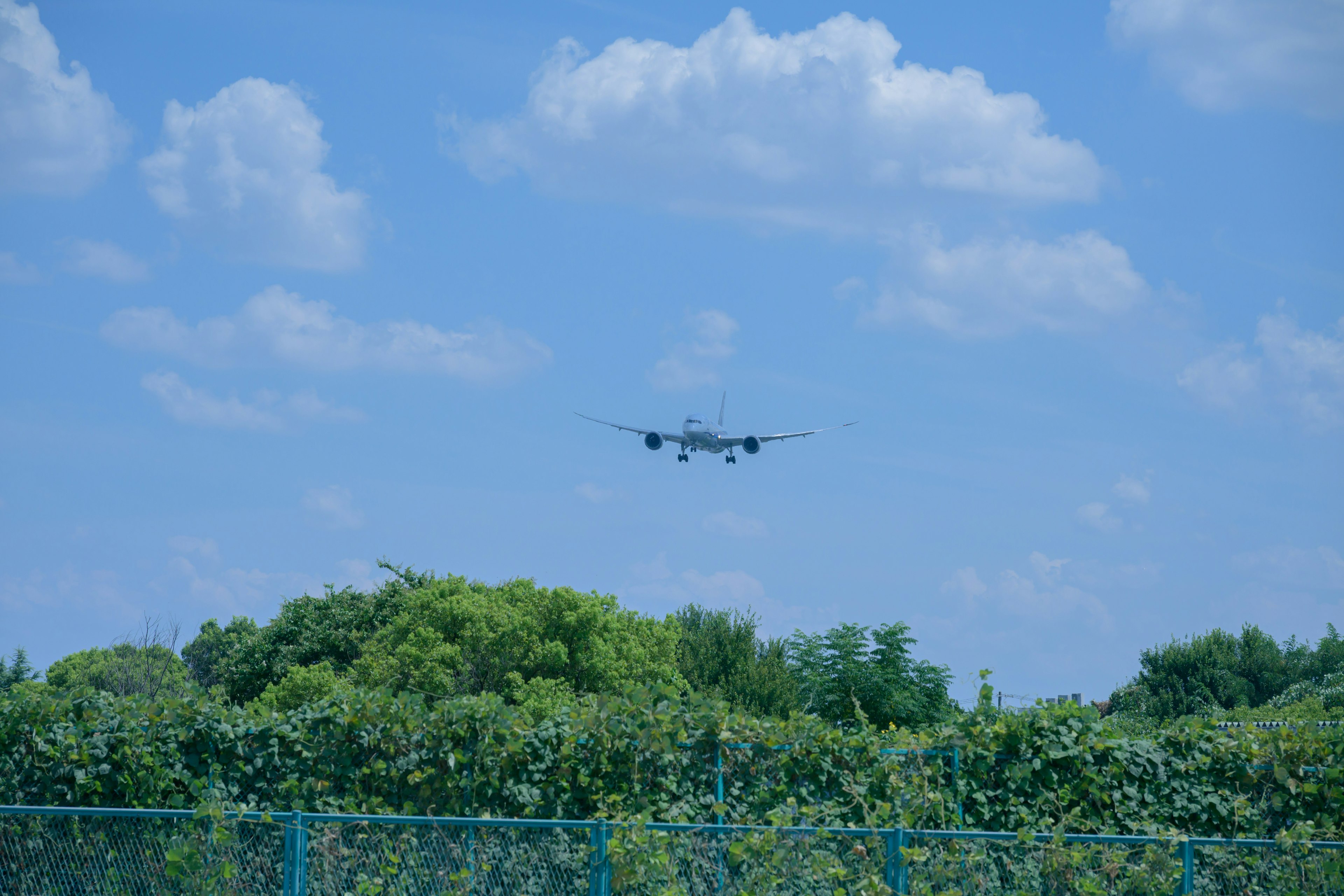 Avión volando en un cielo azul con árboles verdes abajo