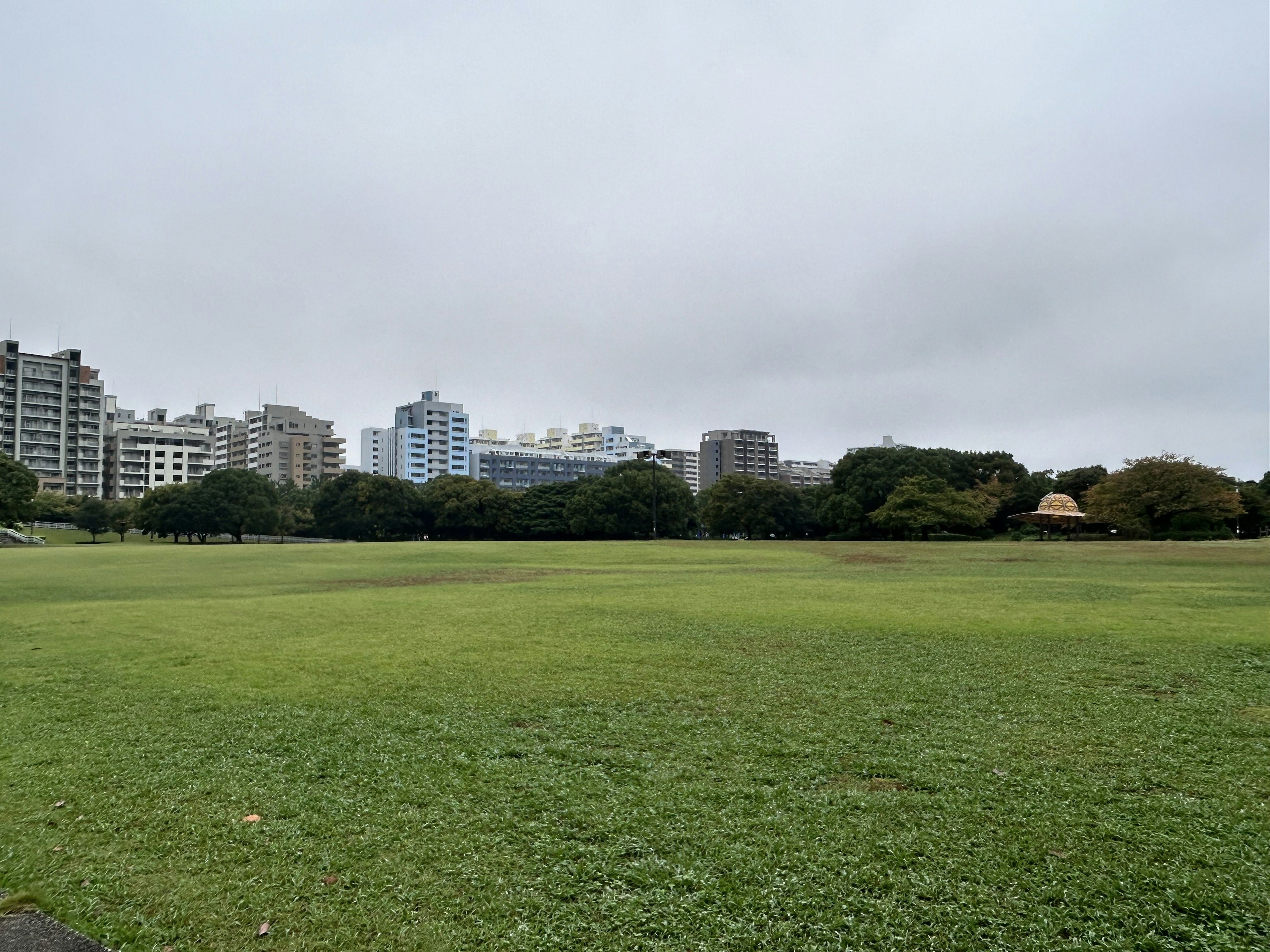 広々とした公園に囲まれた高層ビル群と曇り空