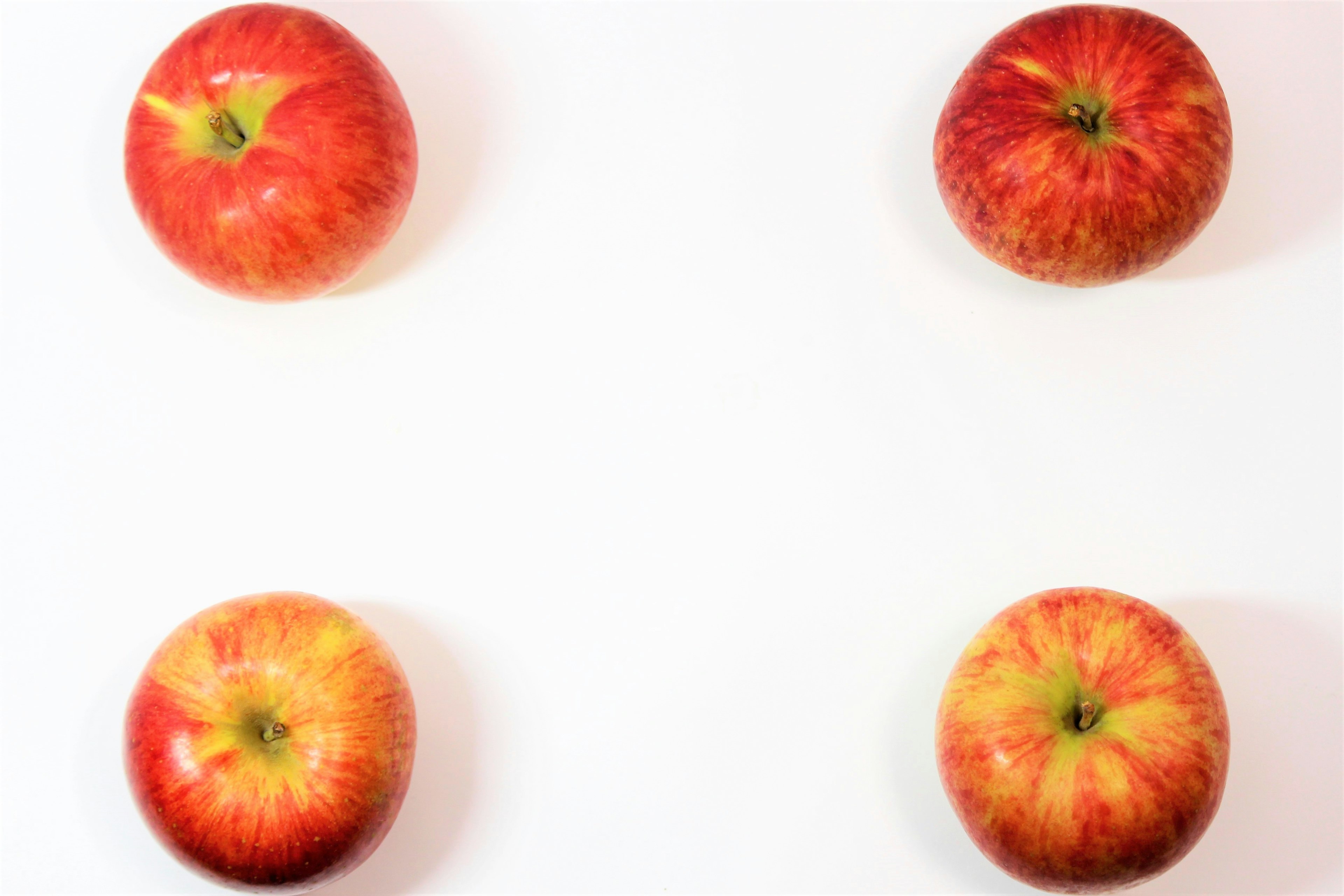 Four red apples arranged on a white background