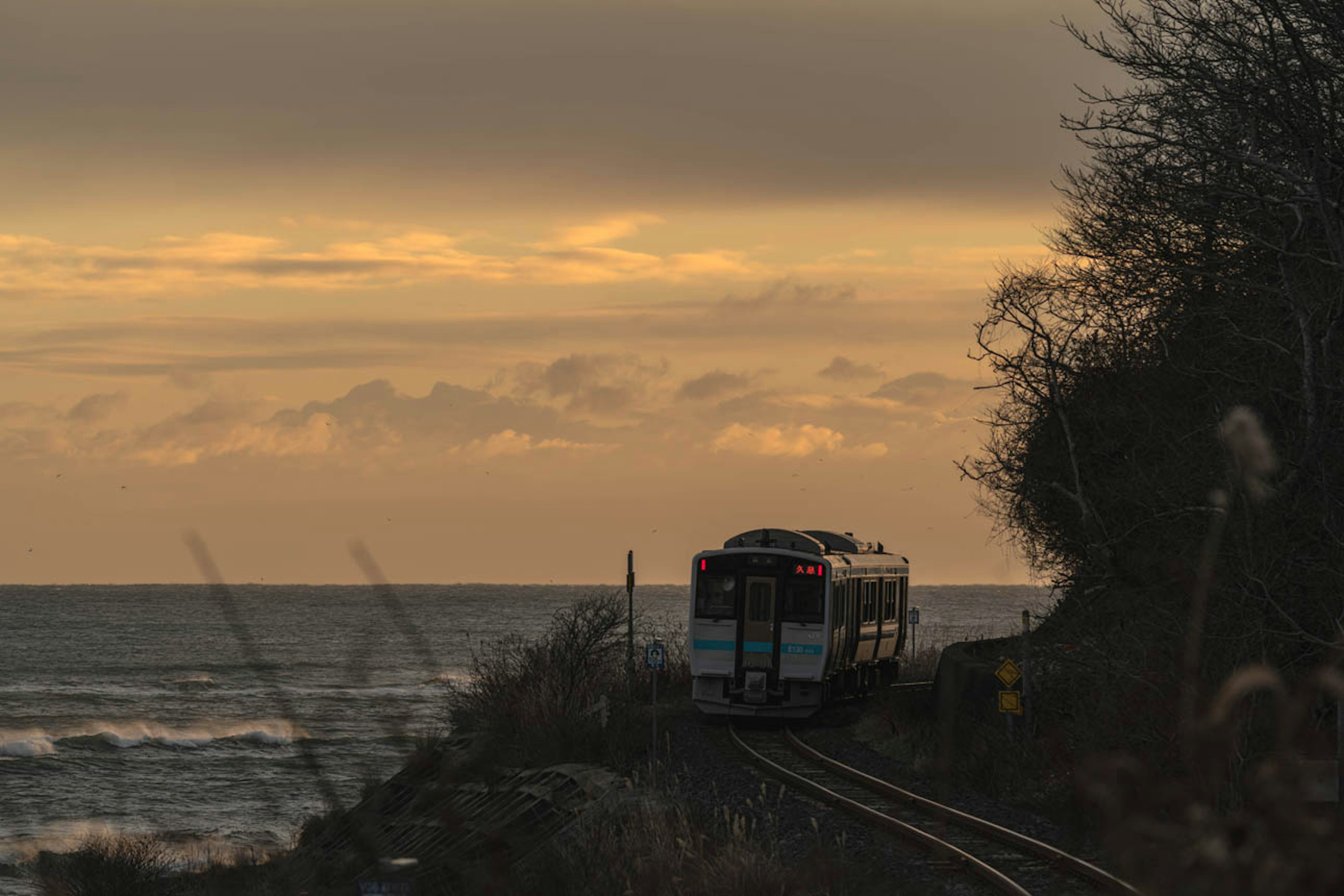 Tren viajando por la costa con una hermosa puesta de sol