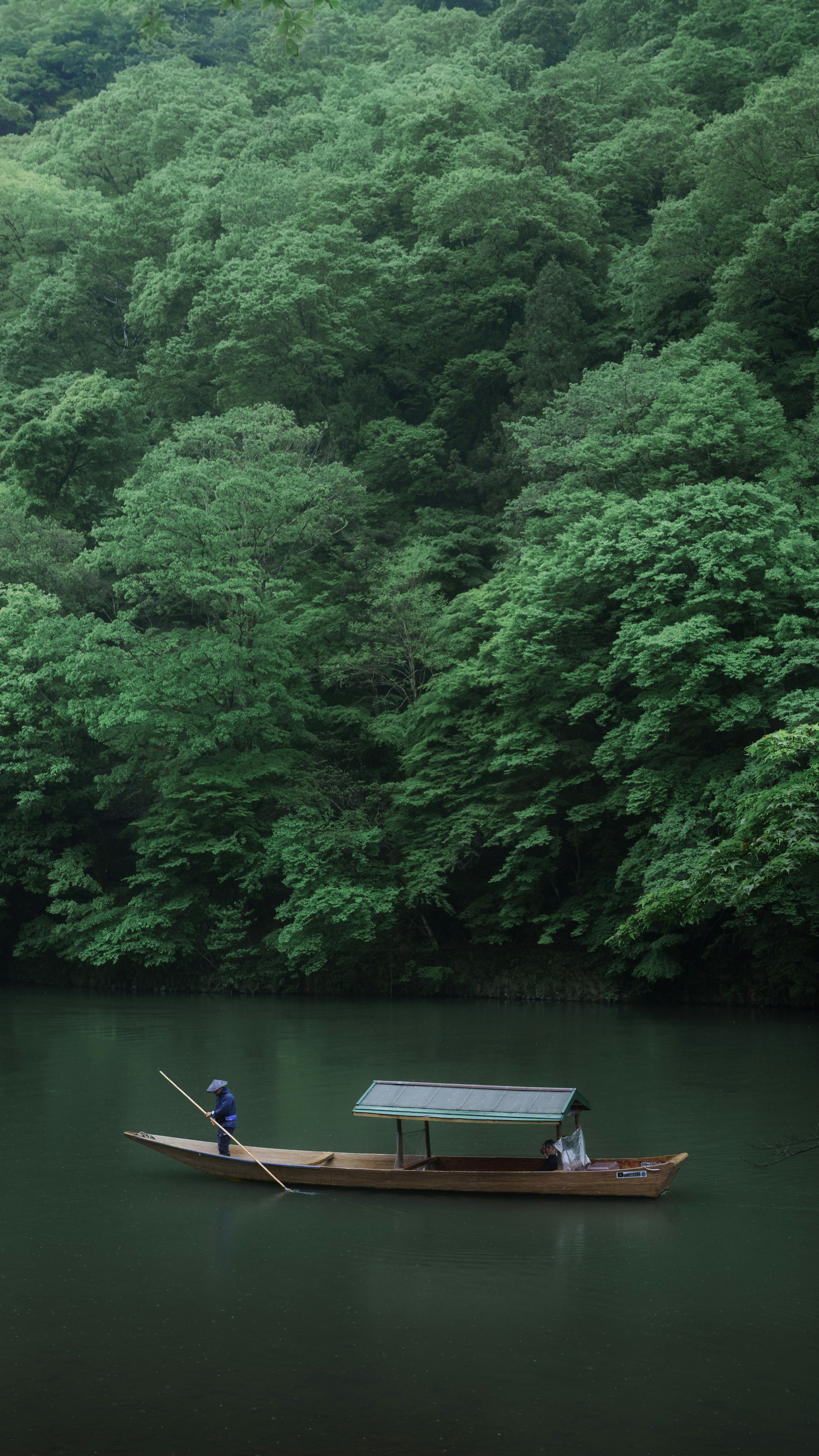 A small boat gliding through a lush green forest