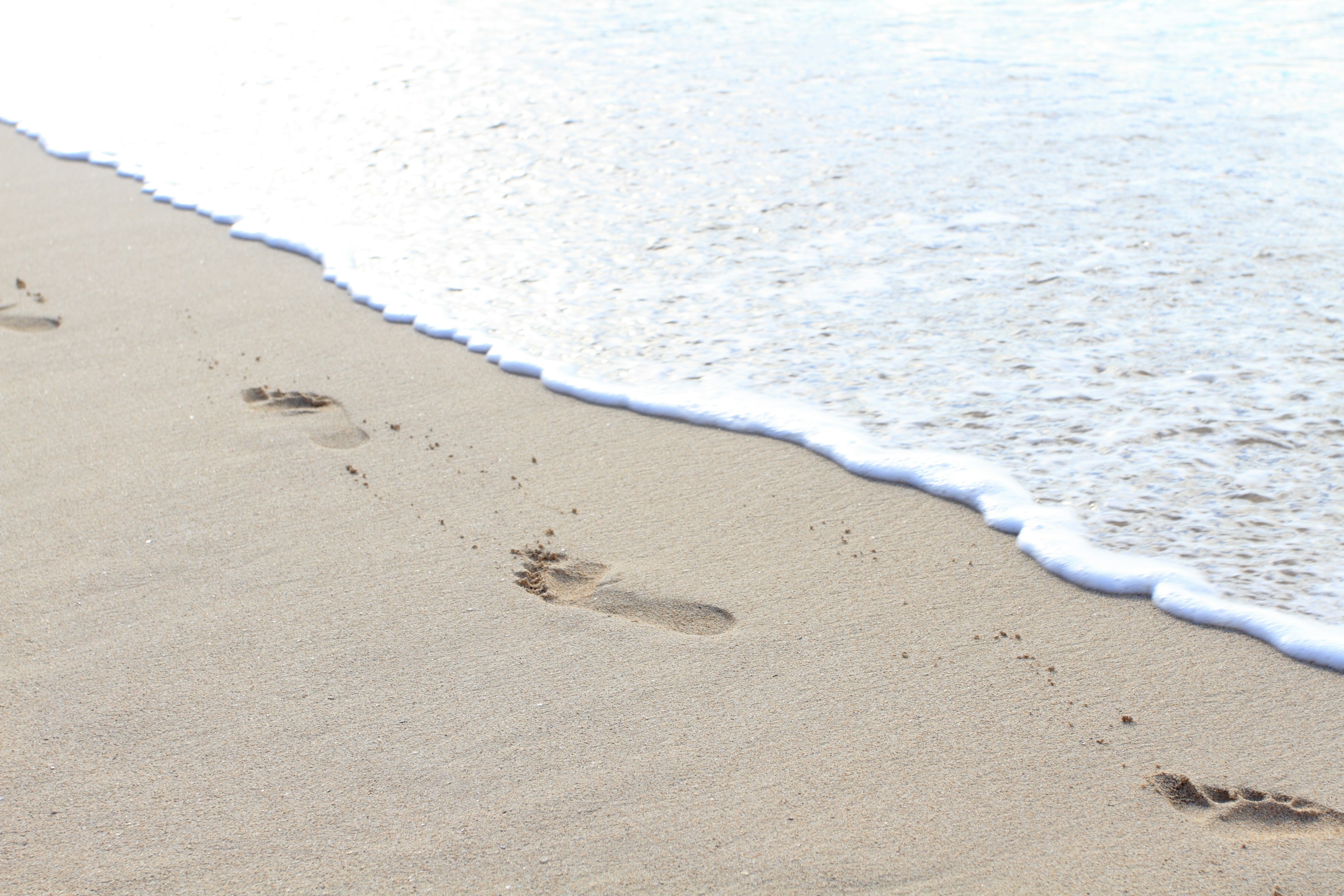 Footprints on sandy beach with gentle waves