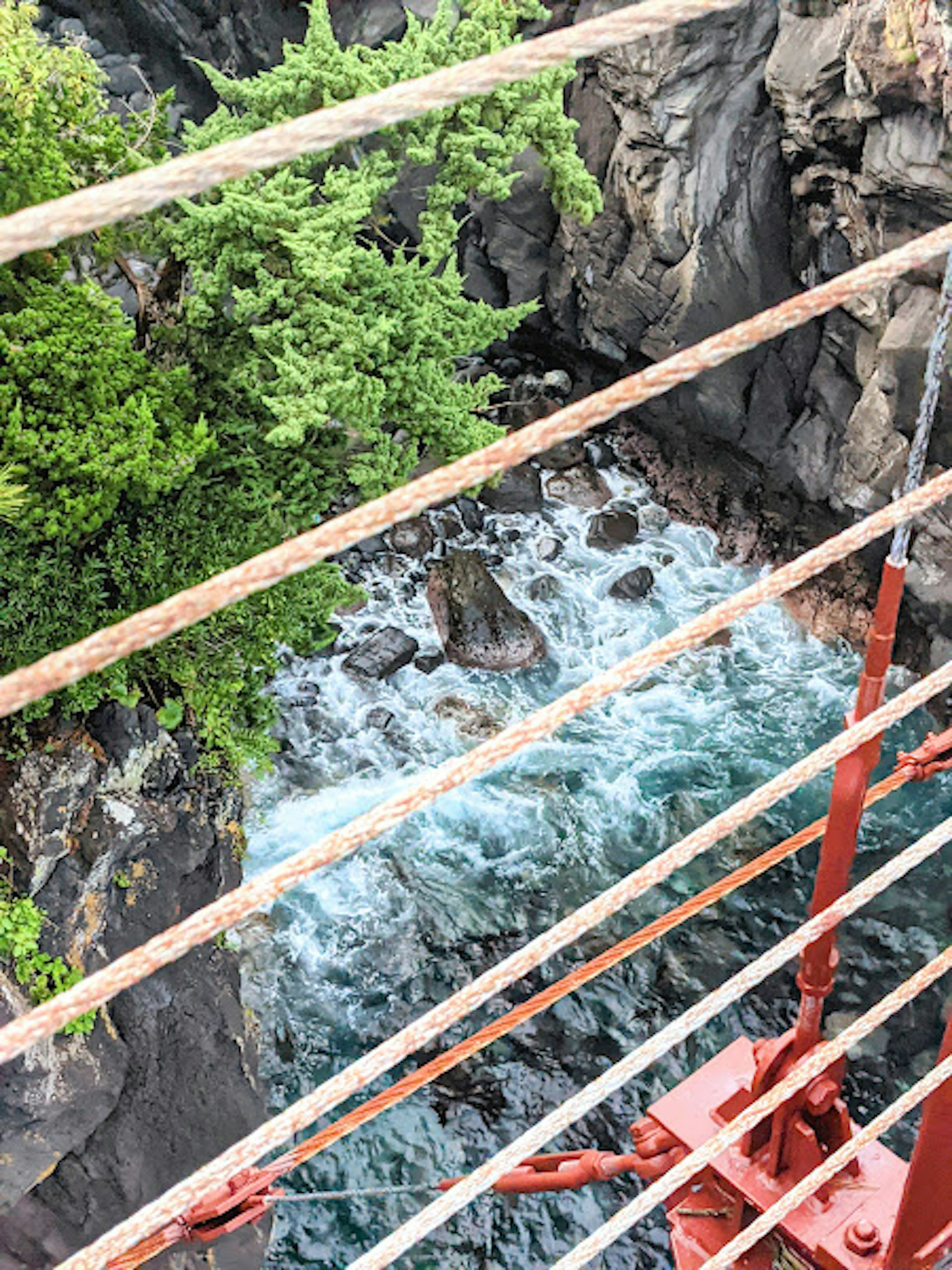 岩の間を流れる青い川と緑の木々が見える橋の上からの眺め