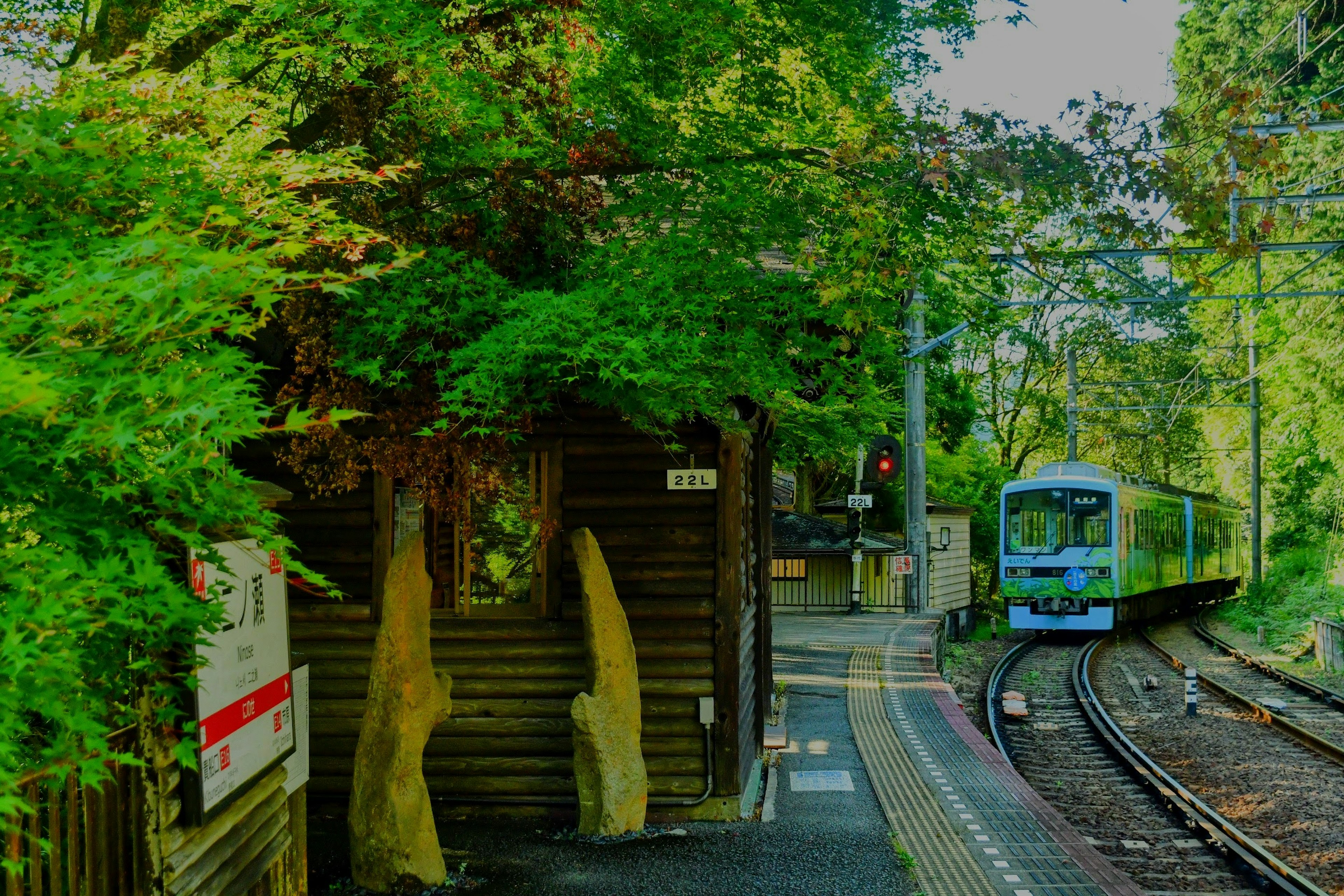 Train station surrounded by lush greenery with a blue train