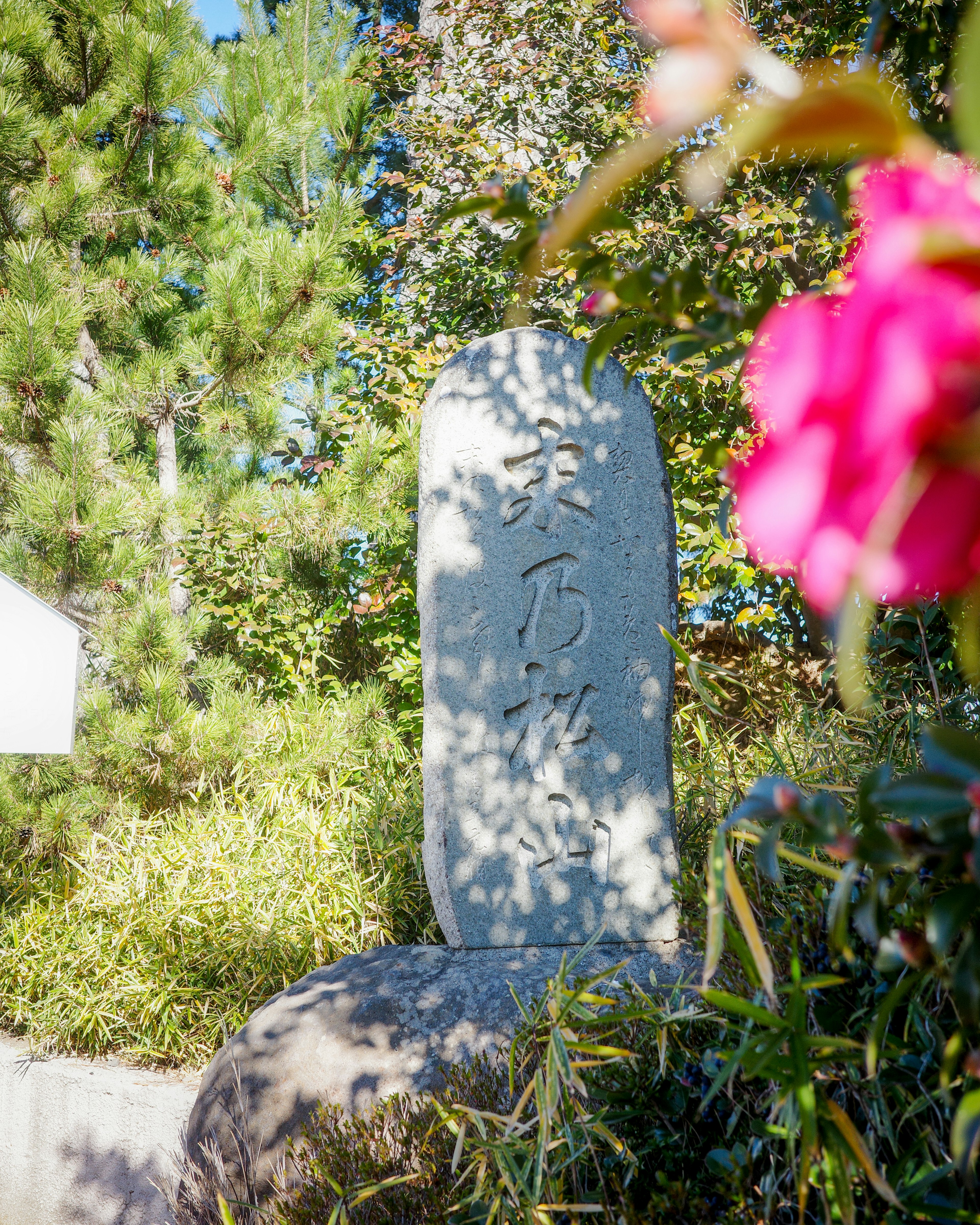 公園の中にある石の碑と色鮮やかな花