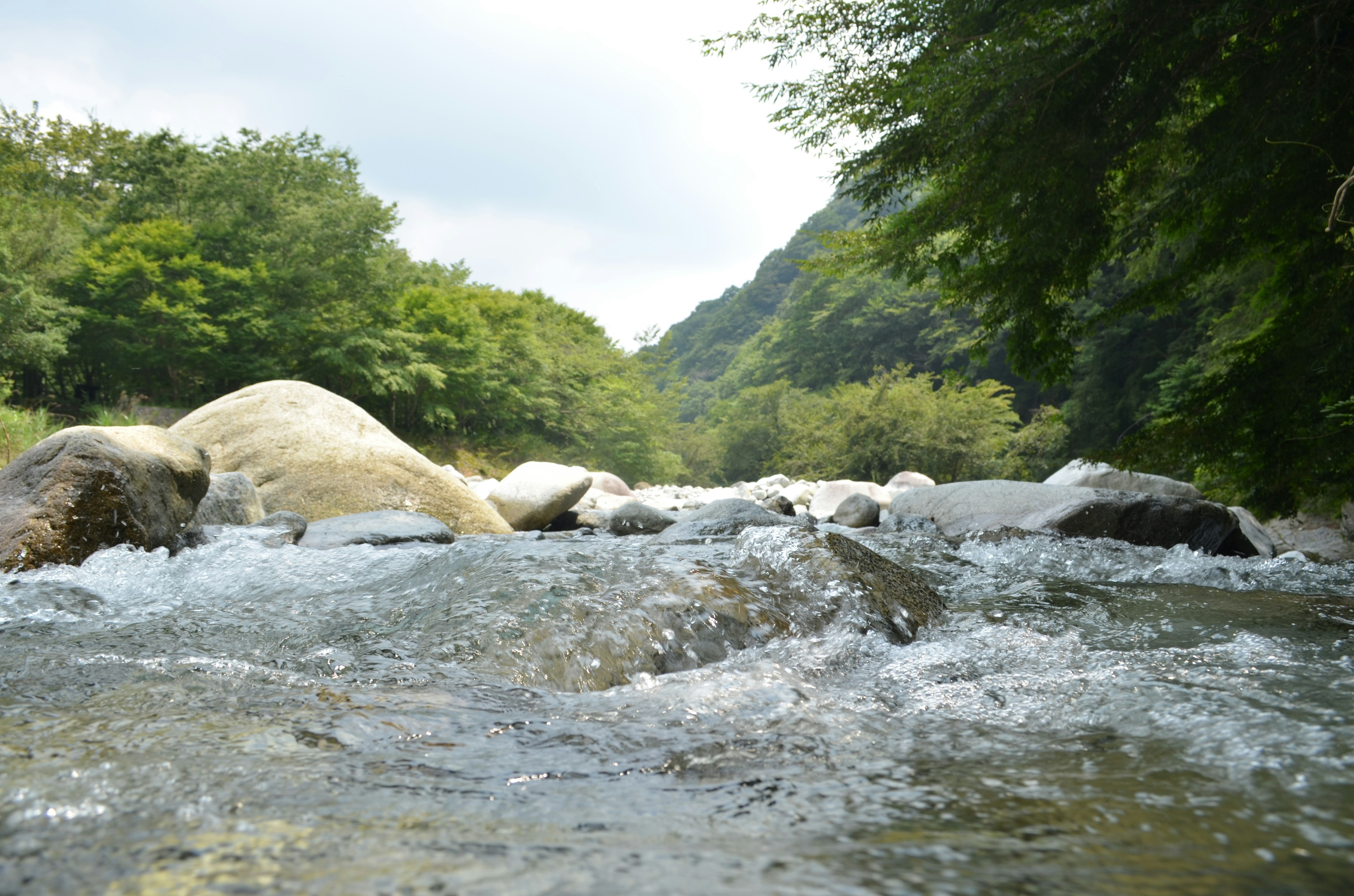 有流動河流和岩石的自然風景