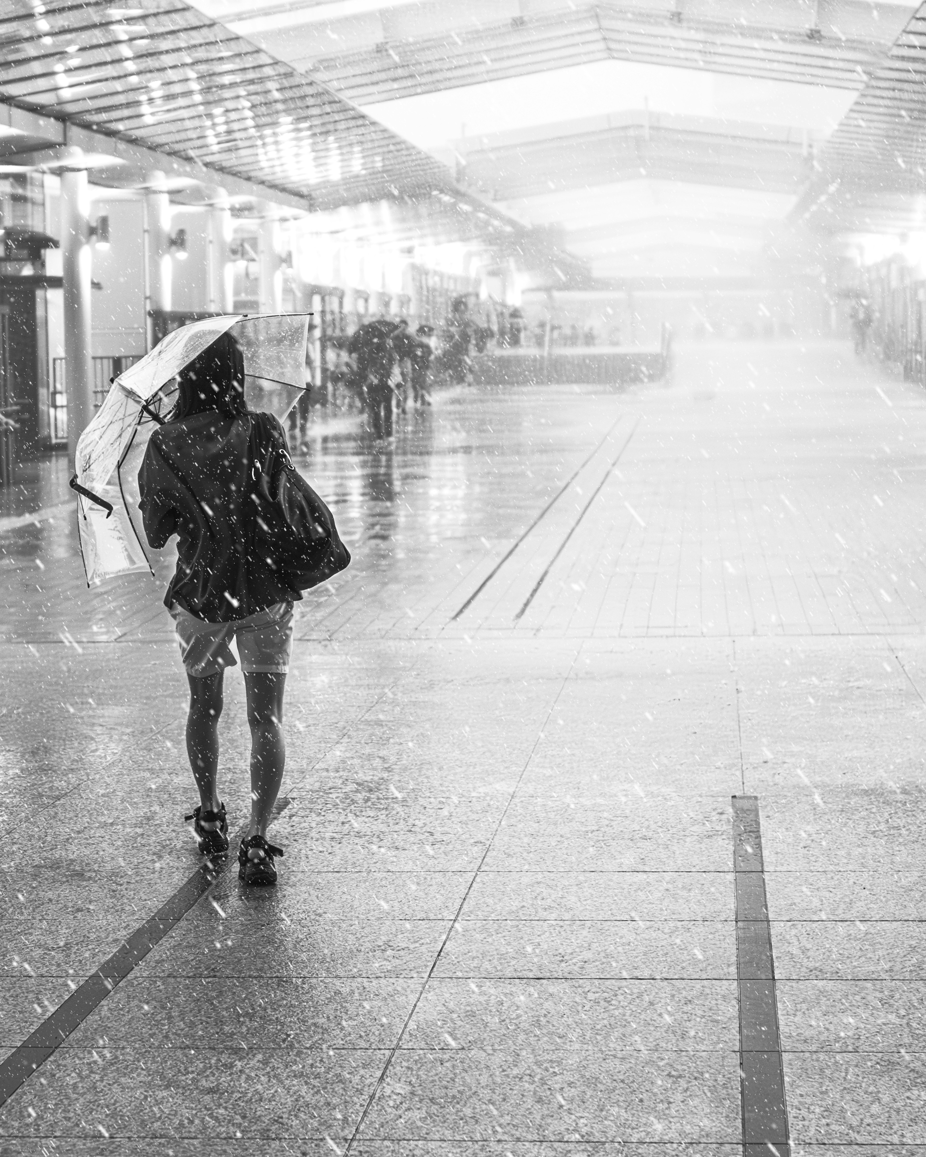 傘を持った女性が雪の中を歩いているモノクロの風景