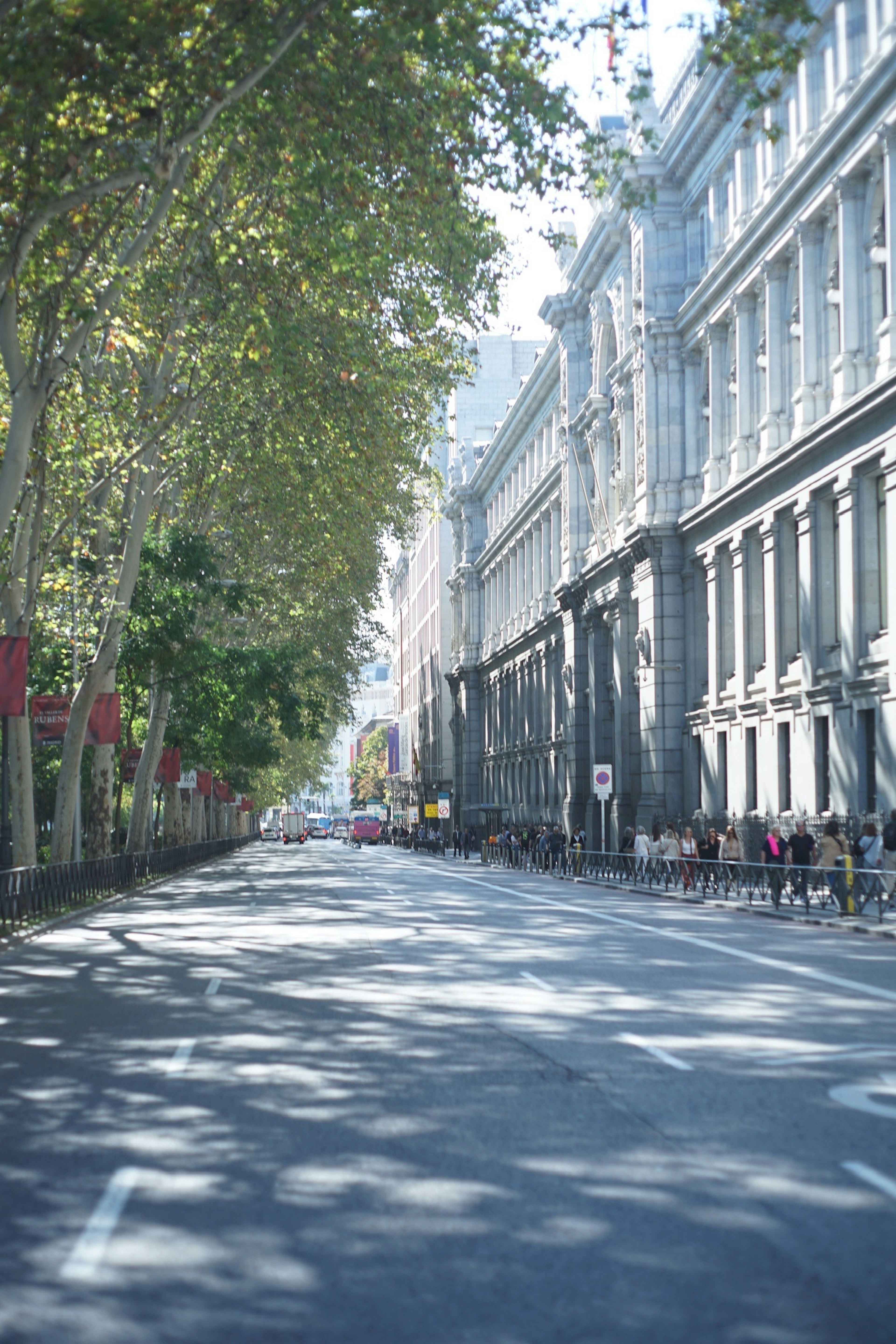 Escena de calle tranquila con árboles proyectando sombras bajo la luz del sol