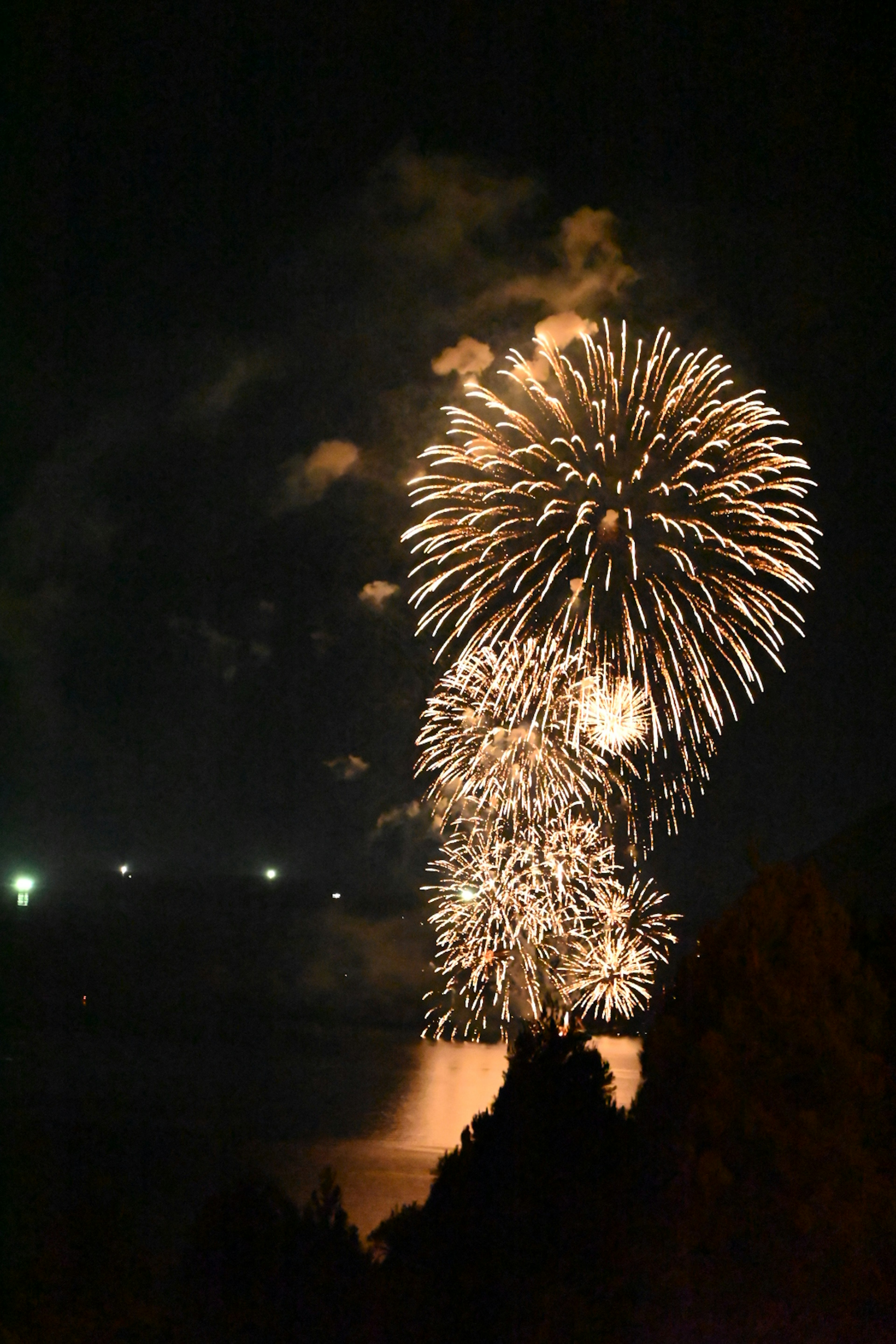 夜空に花火が打ち上げられ美しい光の花を咲かせている