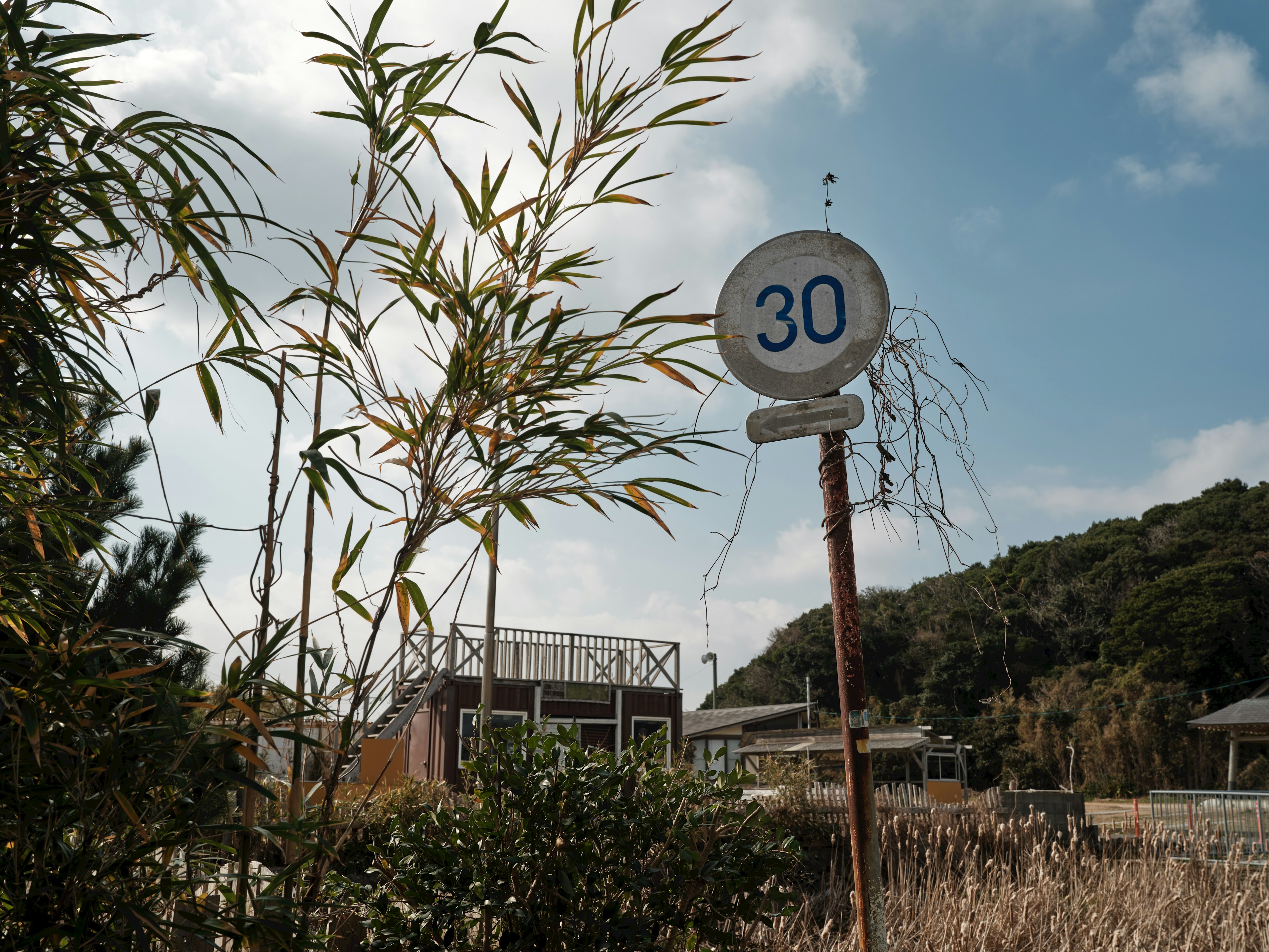 Señal de límite de velocidad que indica 30 rodeada de plantas y edificios