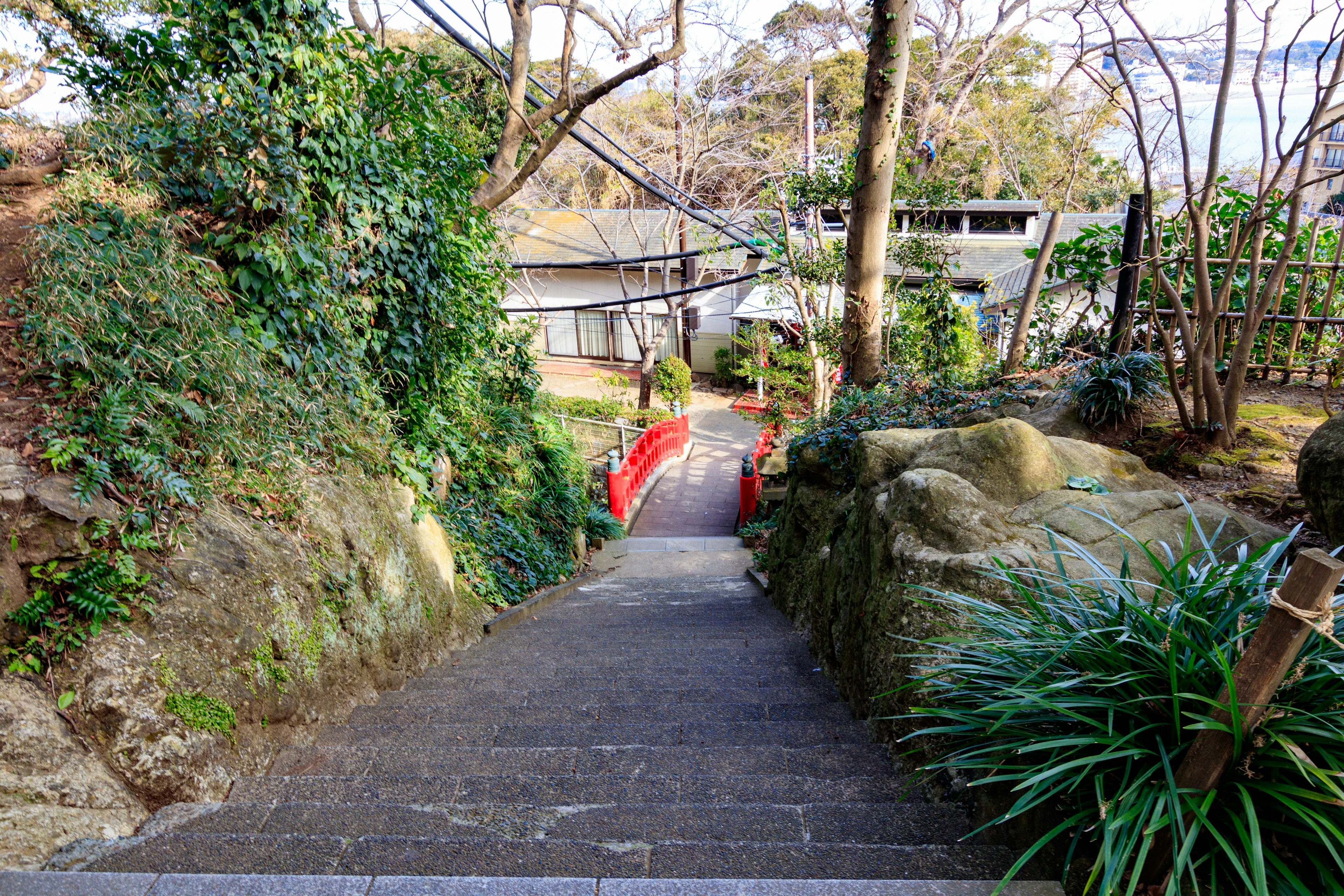 Scenic view of stone steps leading down to a red bridge in a Japanese garden