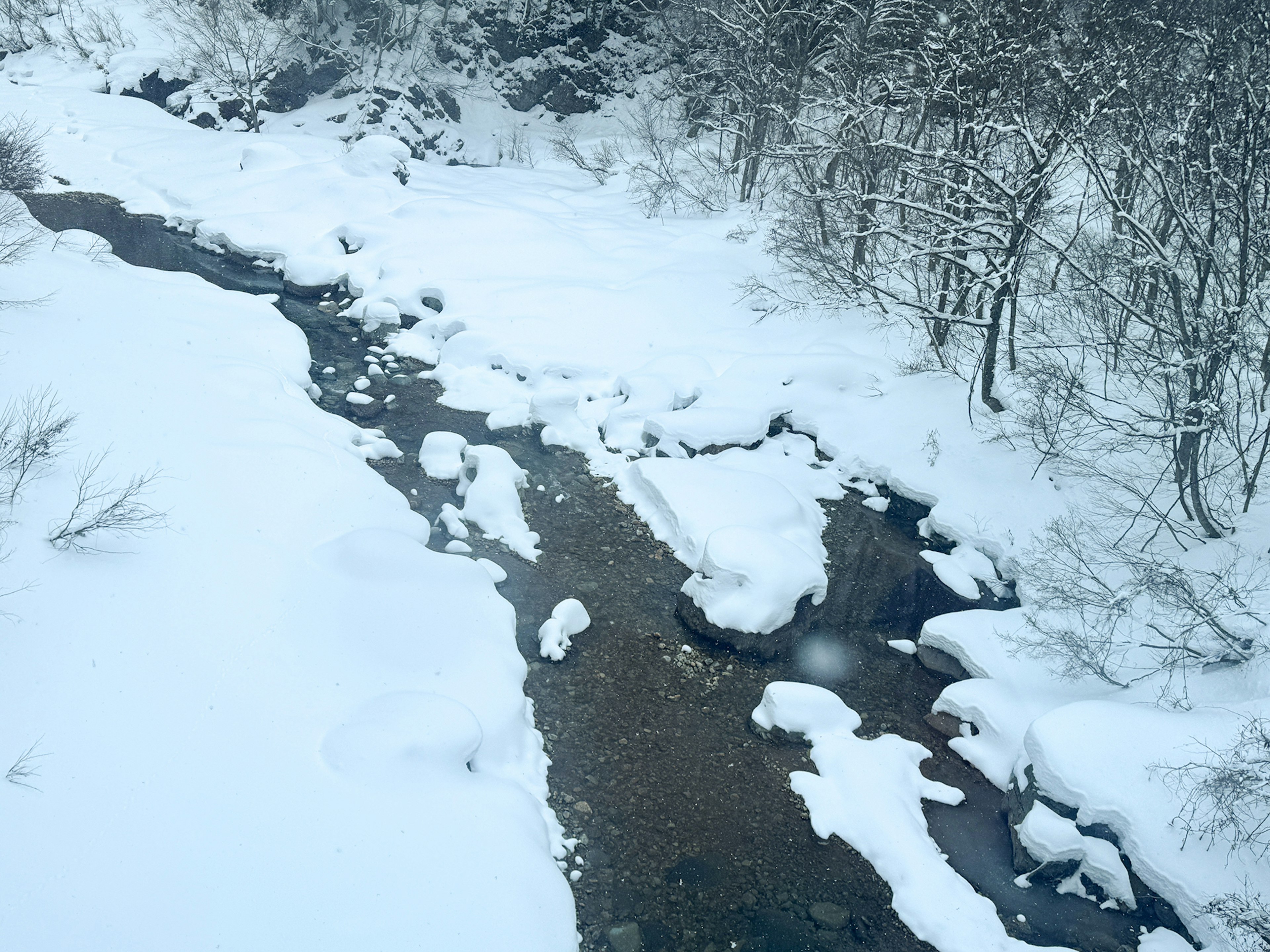 Schneebedeckter Fluss mit umliegenden Bäumen