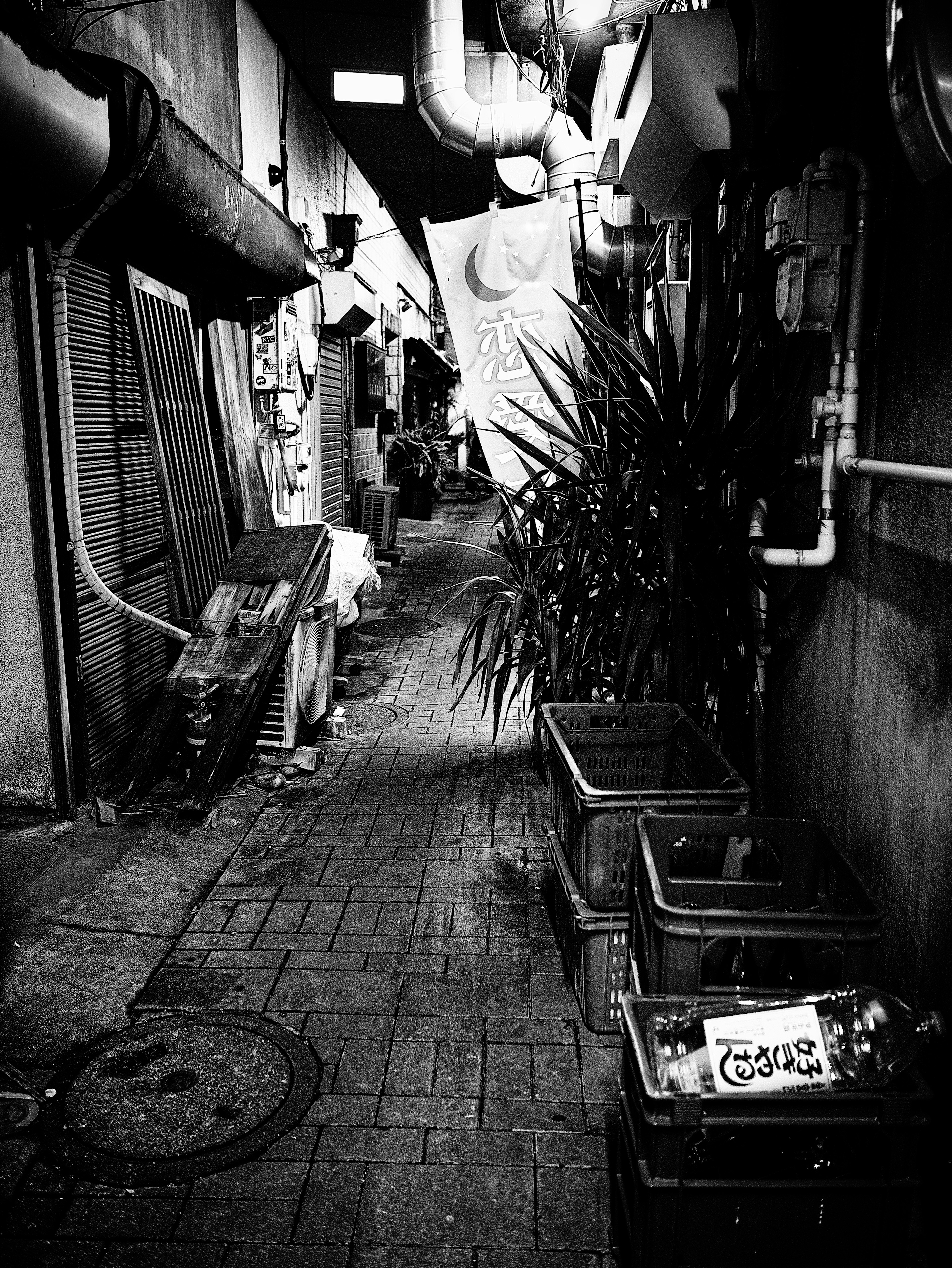 Callejón estrecho con contenedores de basura y plantas en blanco y negro