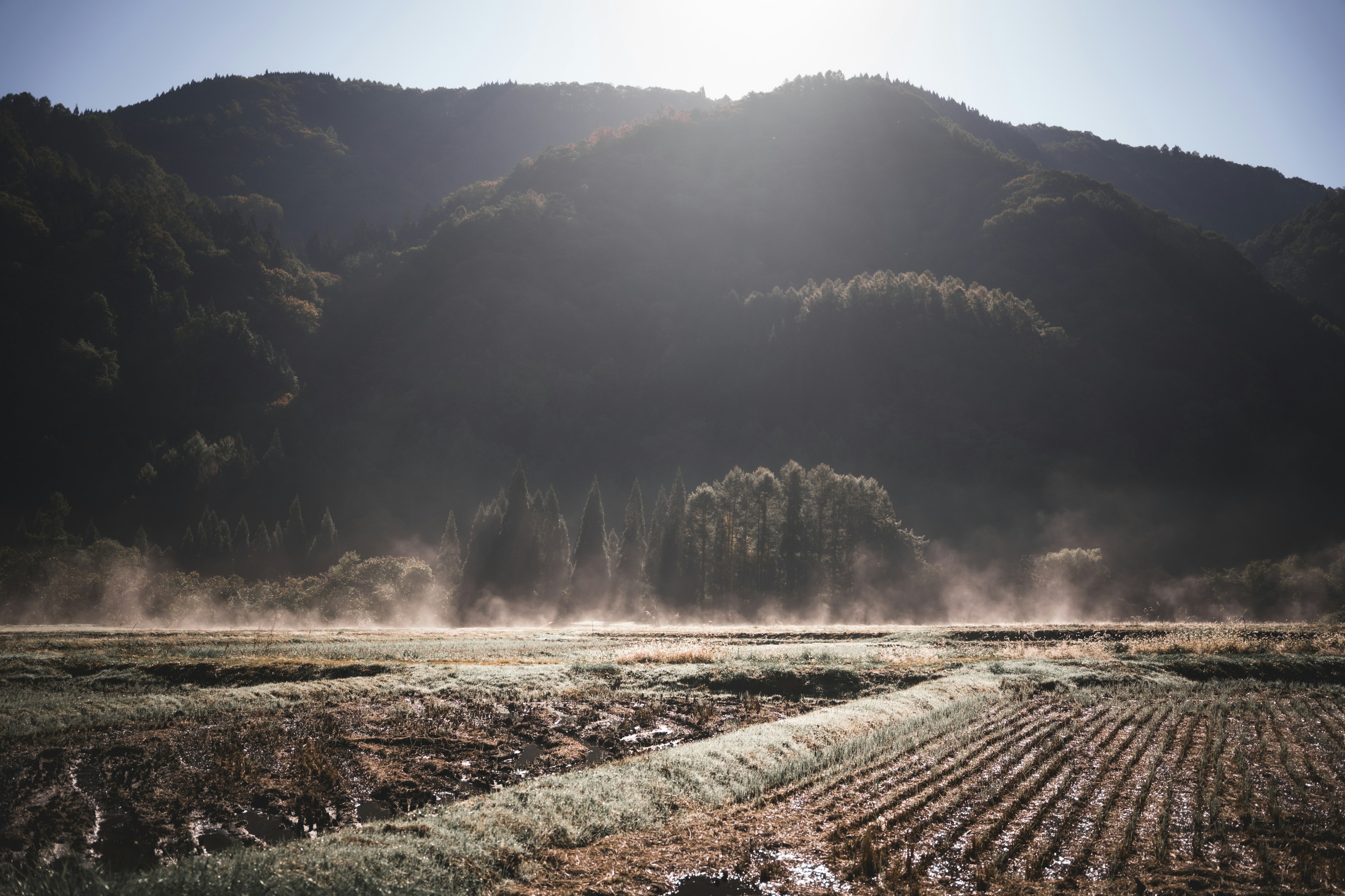 Paesaggio montano nebbioso con campi e luce del mattino