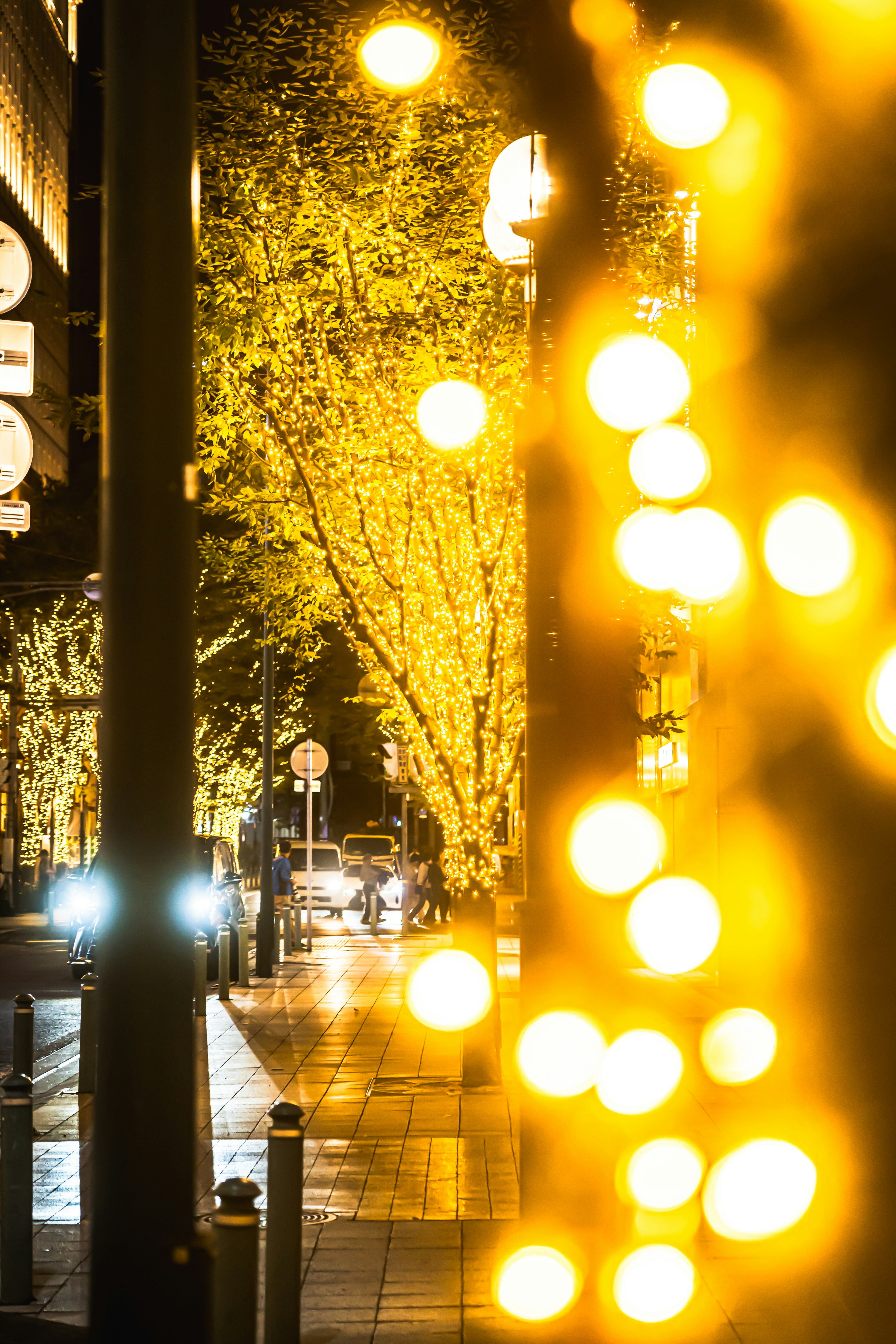 Nächtliche Stadtansicht mit leuchtenden gelben Lichtern und beleuchteten Bäumen