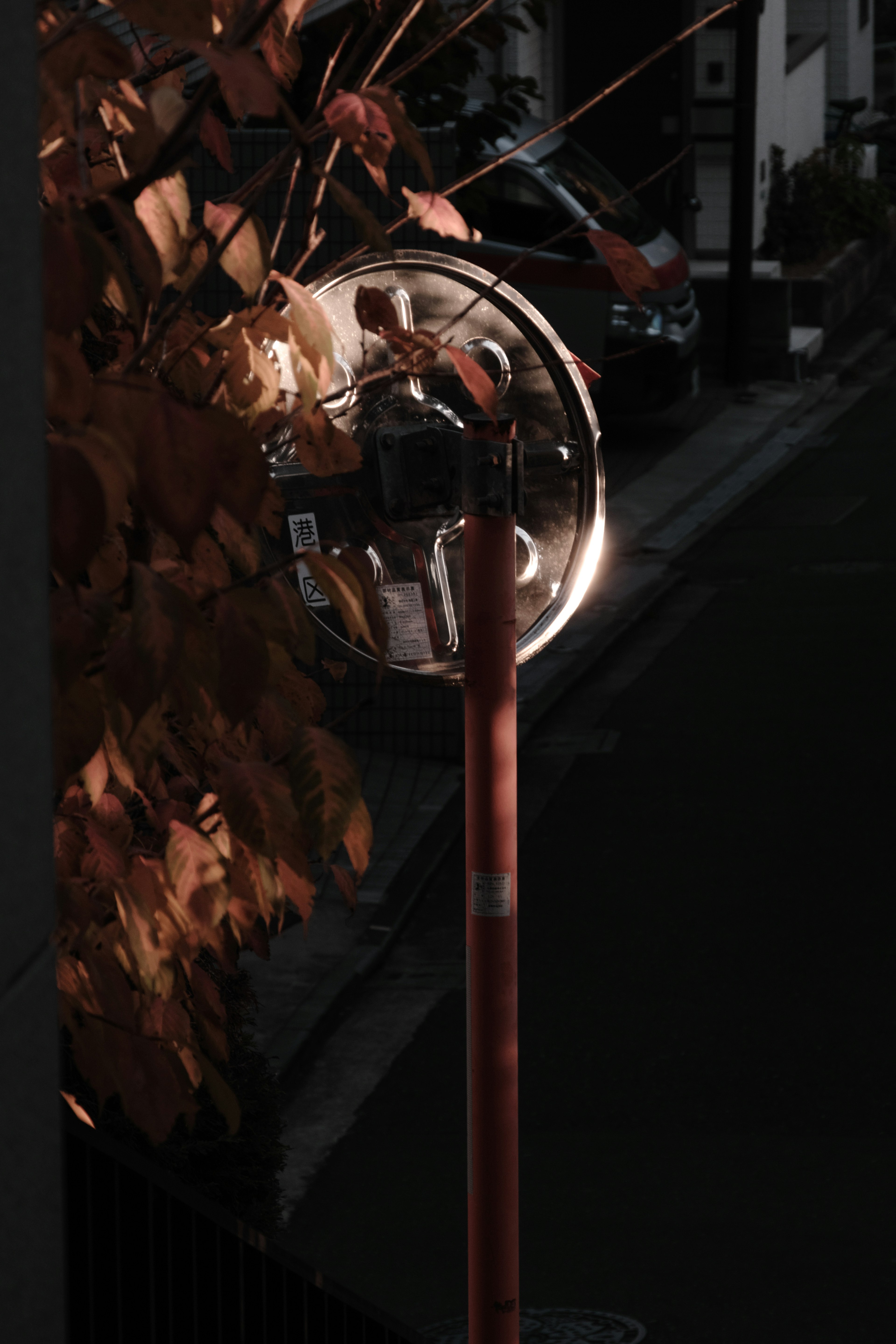 Close-up of a streetlight surrounded by autumn leaves soft light on a dark background