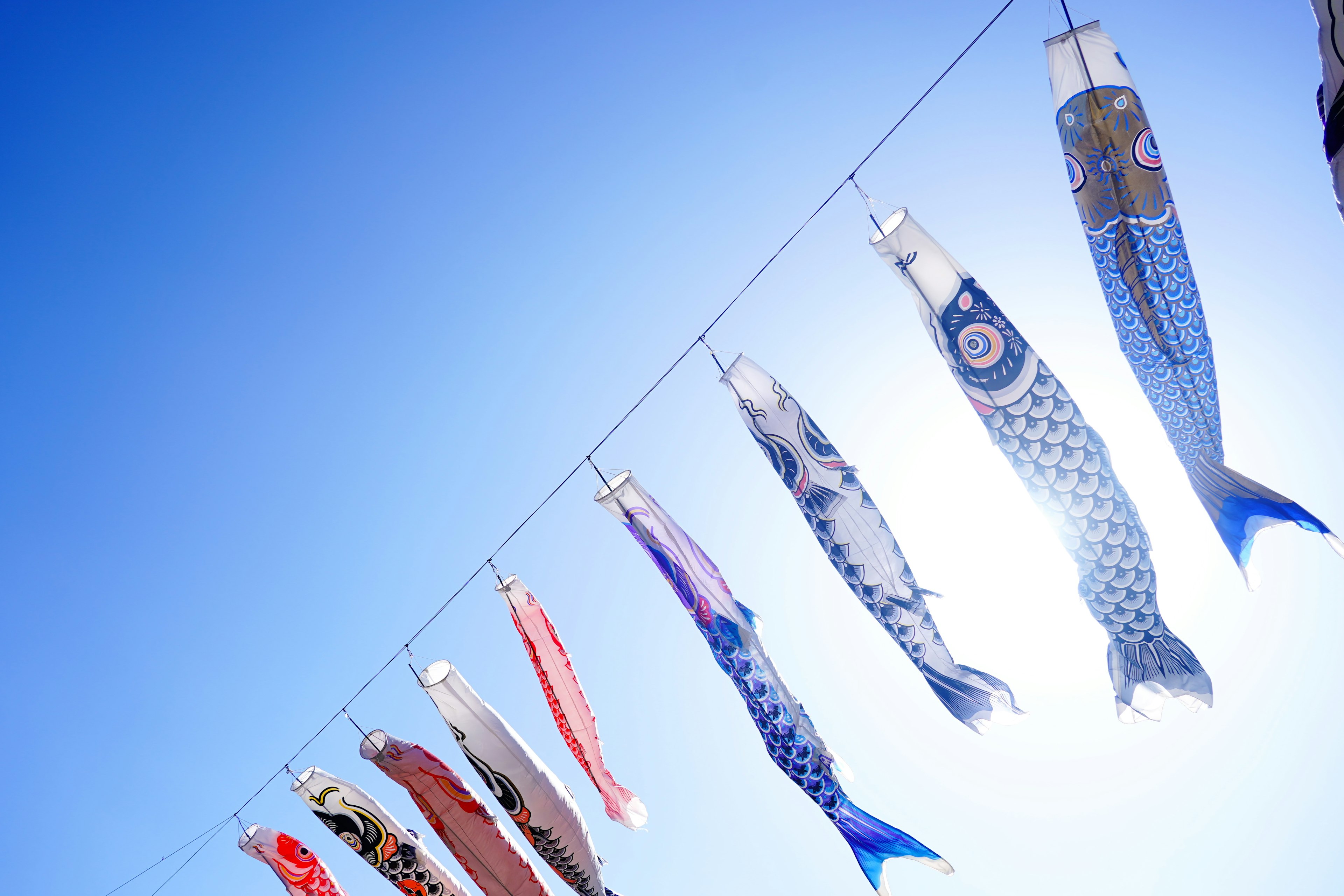 Banderas koinobori coloridas ondeando contra un cielo azul