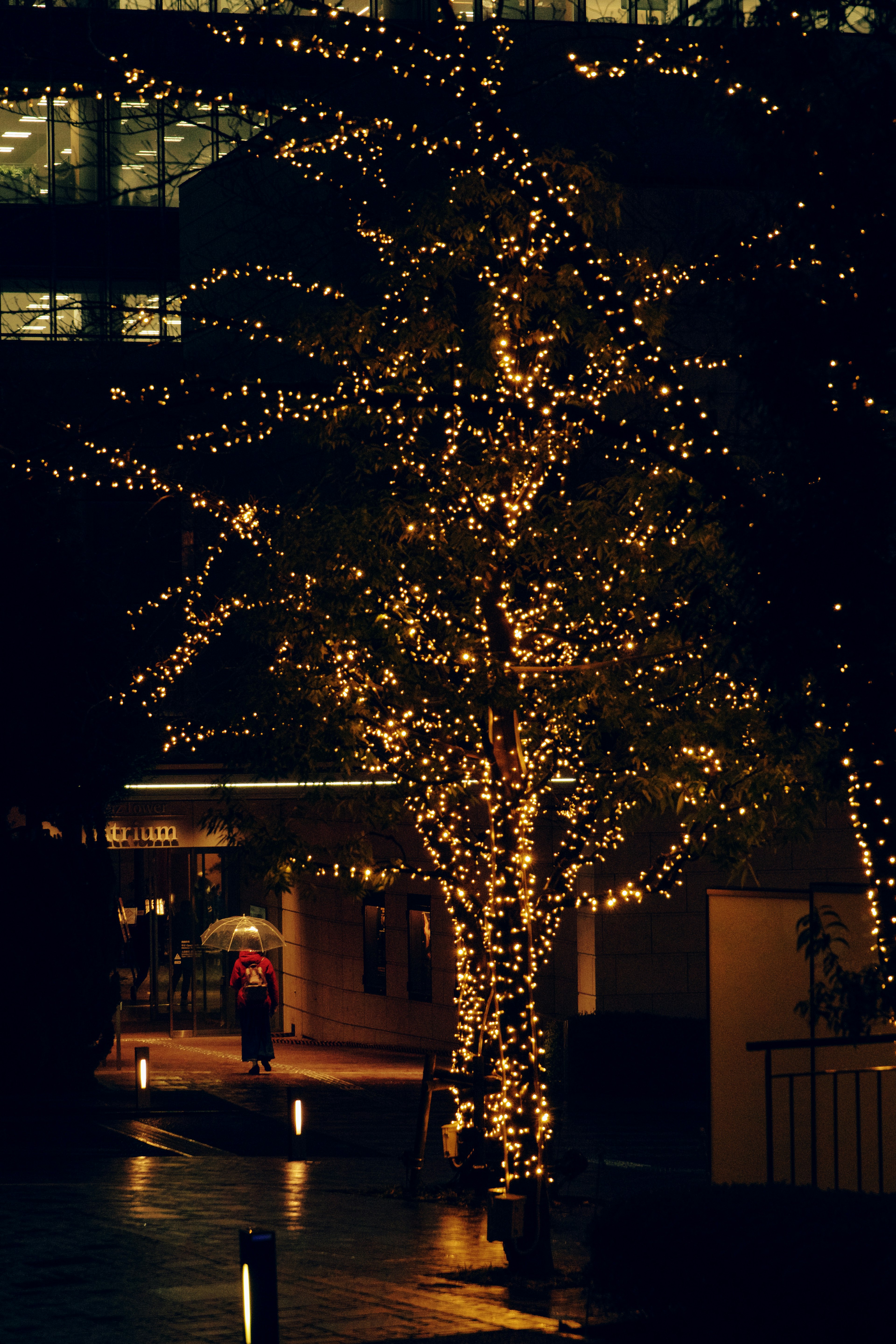 Un albero addobbato con luci brillanti di notte con edifici circostanti