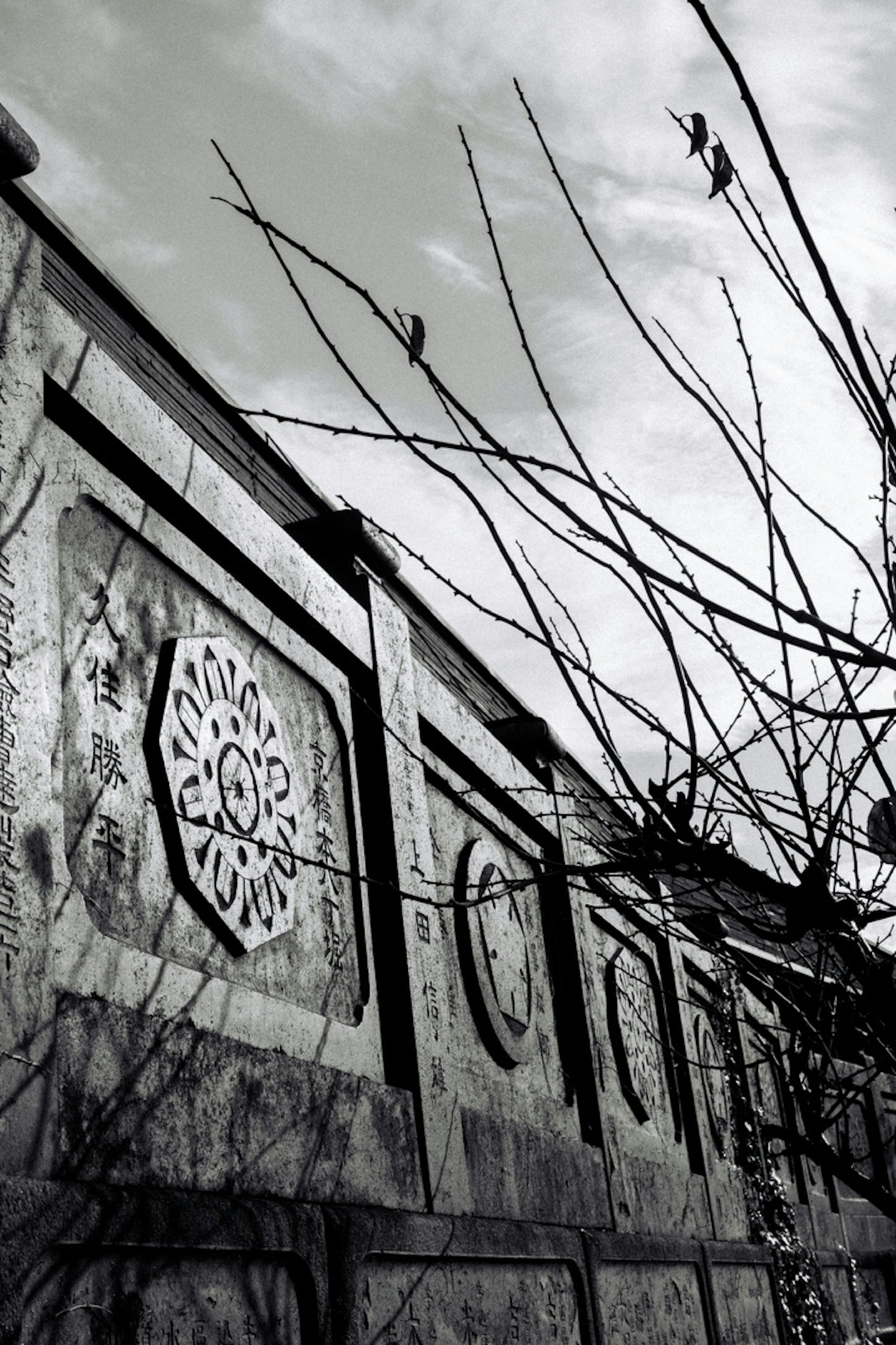 Tallados decorativos en una pared en blanco y negro con ramas delgadas visibles