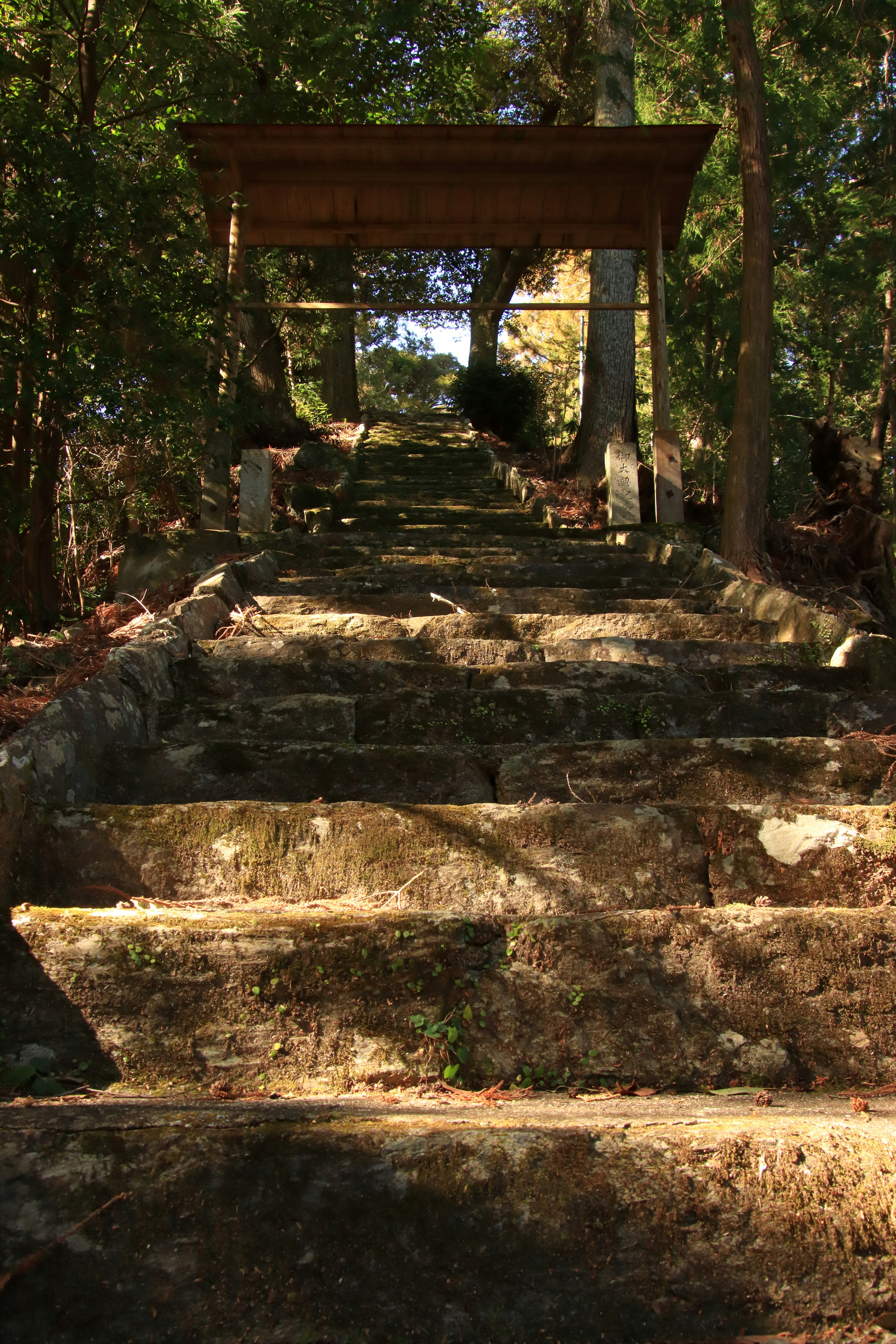 Stone steps leading to a wooden shelter surrounded by greenery