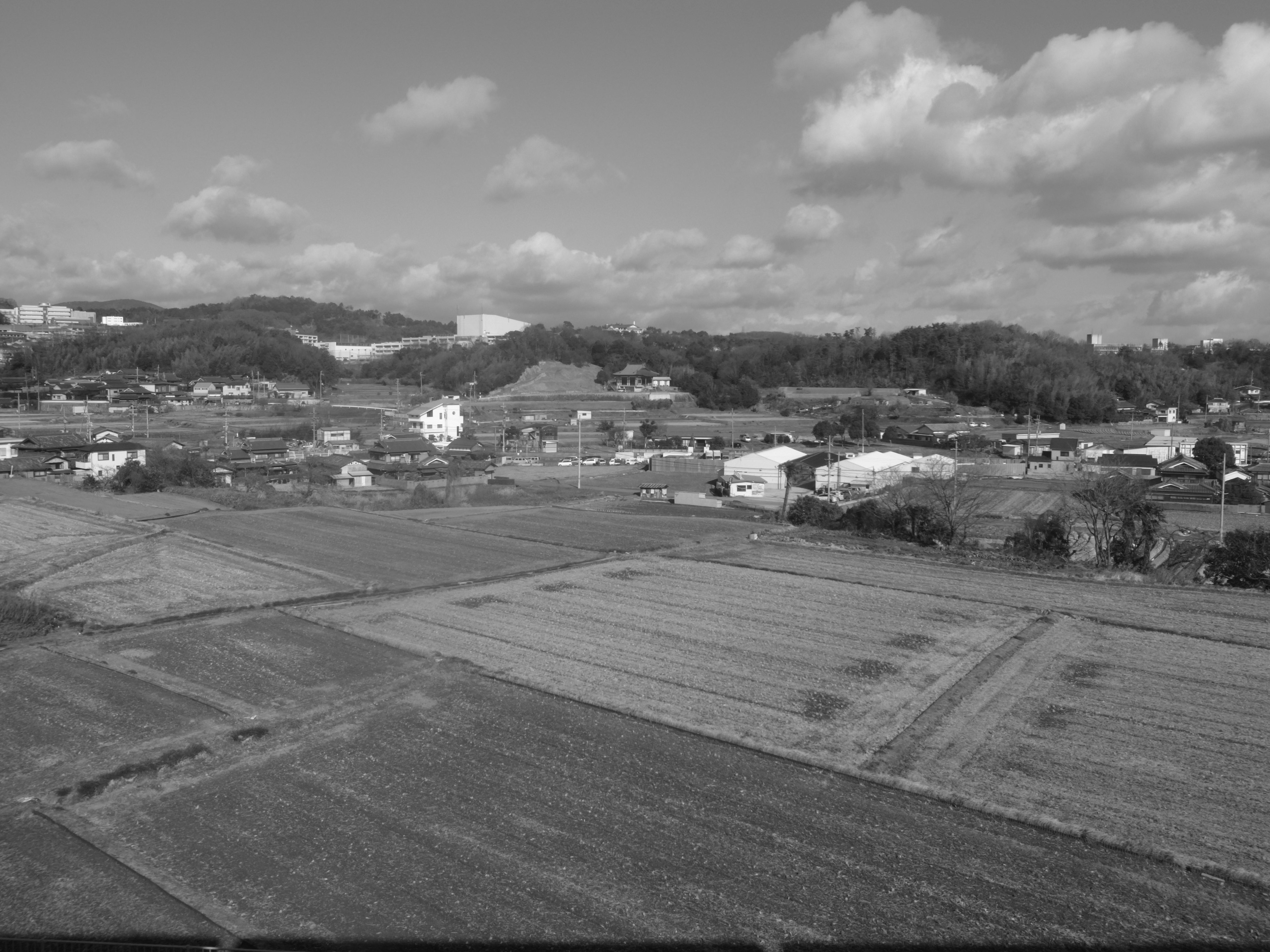 黑白風景照片顯示田野和房屋