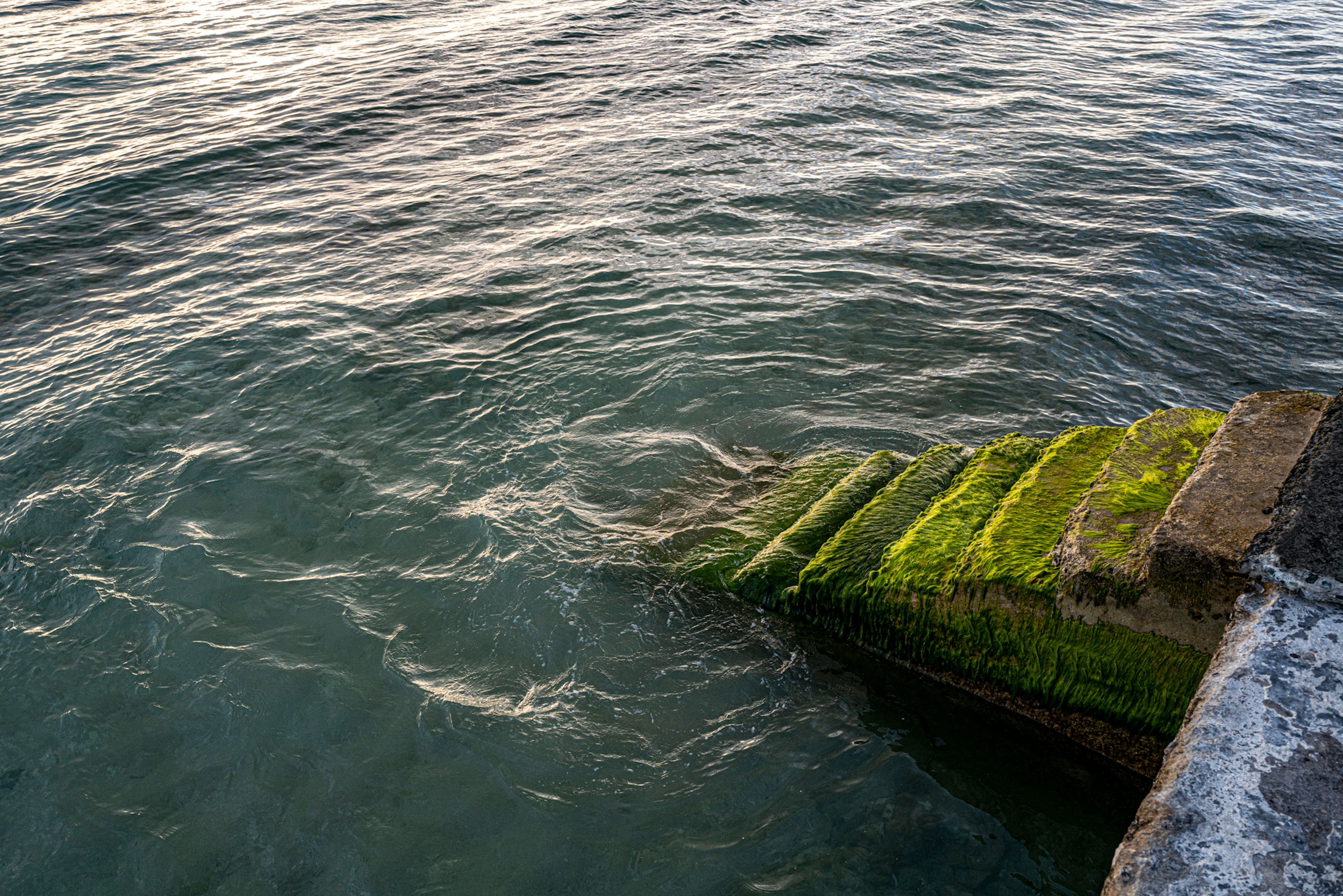 Teil einer mit grünem Moos bedeckten Treppe, die im Wasser steht