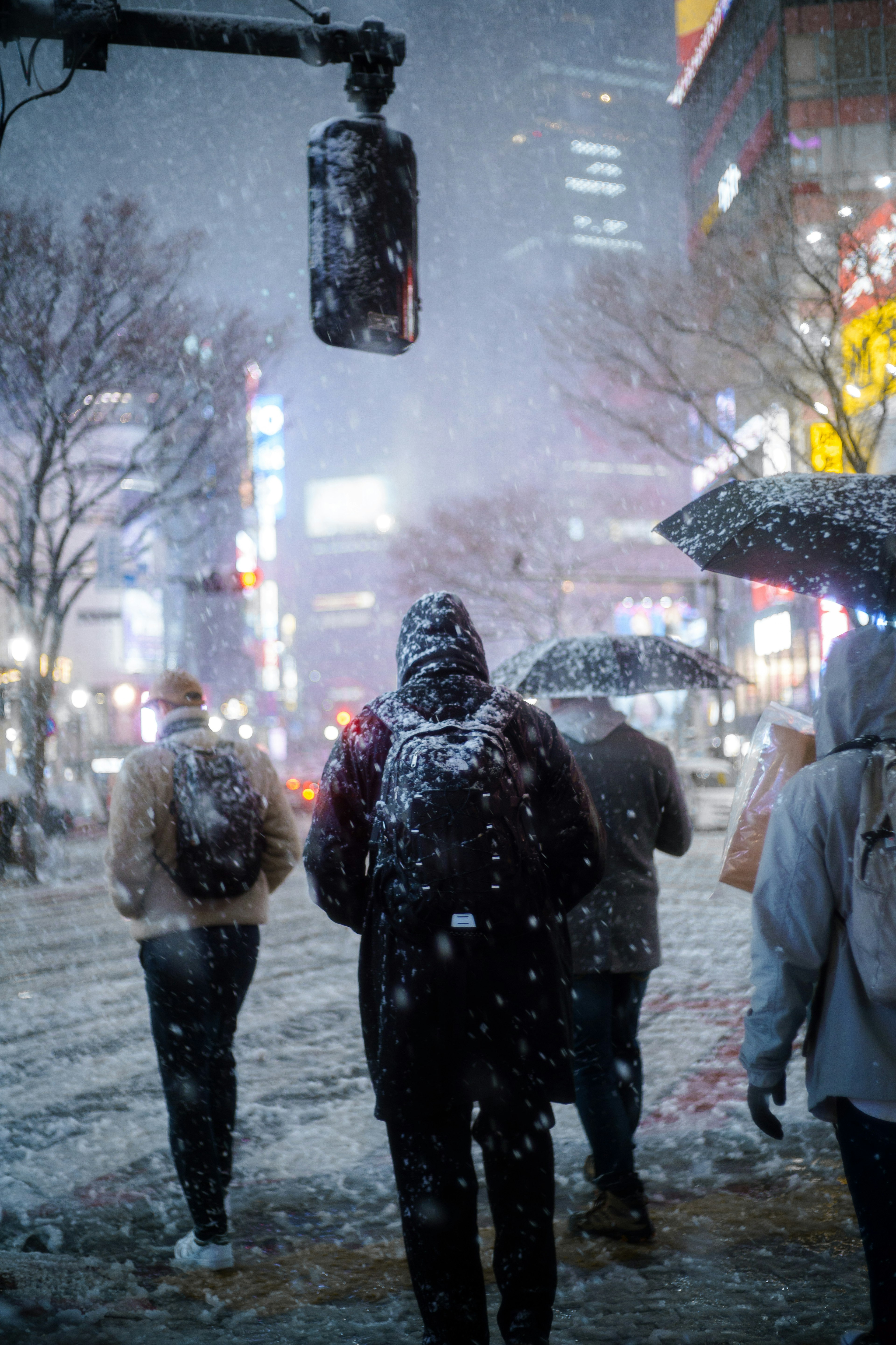 雪の降る都市の交差点で歩く人々の後ろ姿