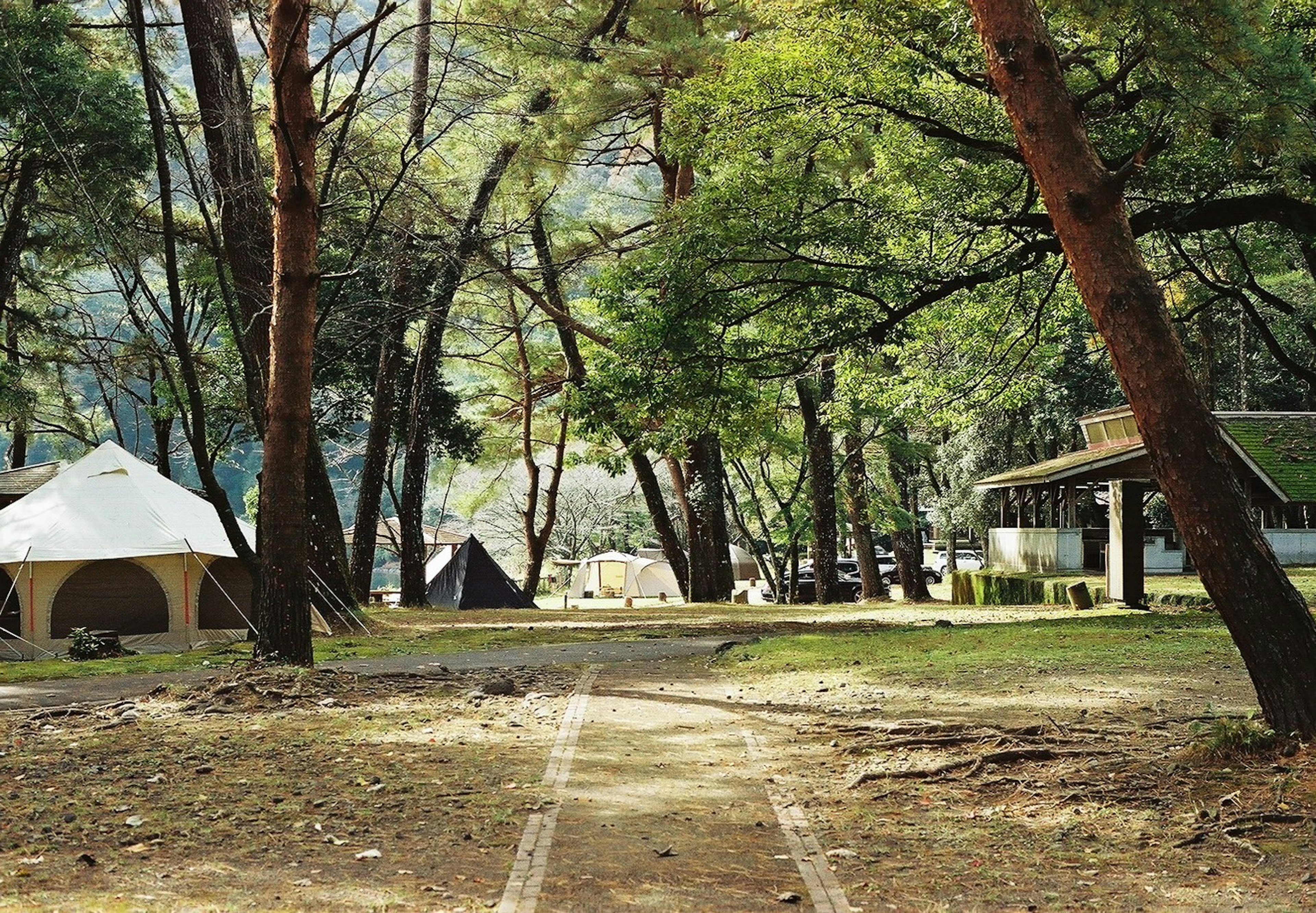 Vista escénica de un camping rodeado de vegetación exuberante con tiendas y árboles altos