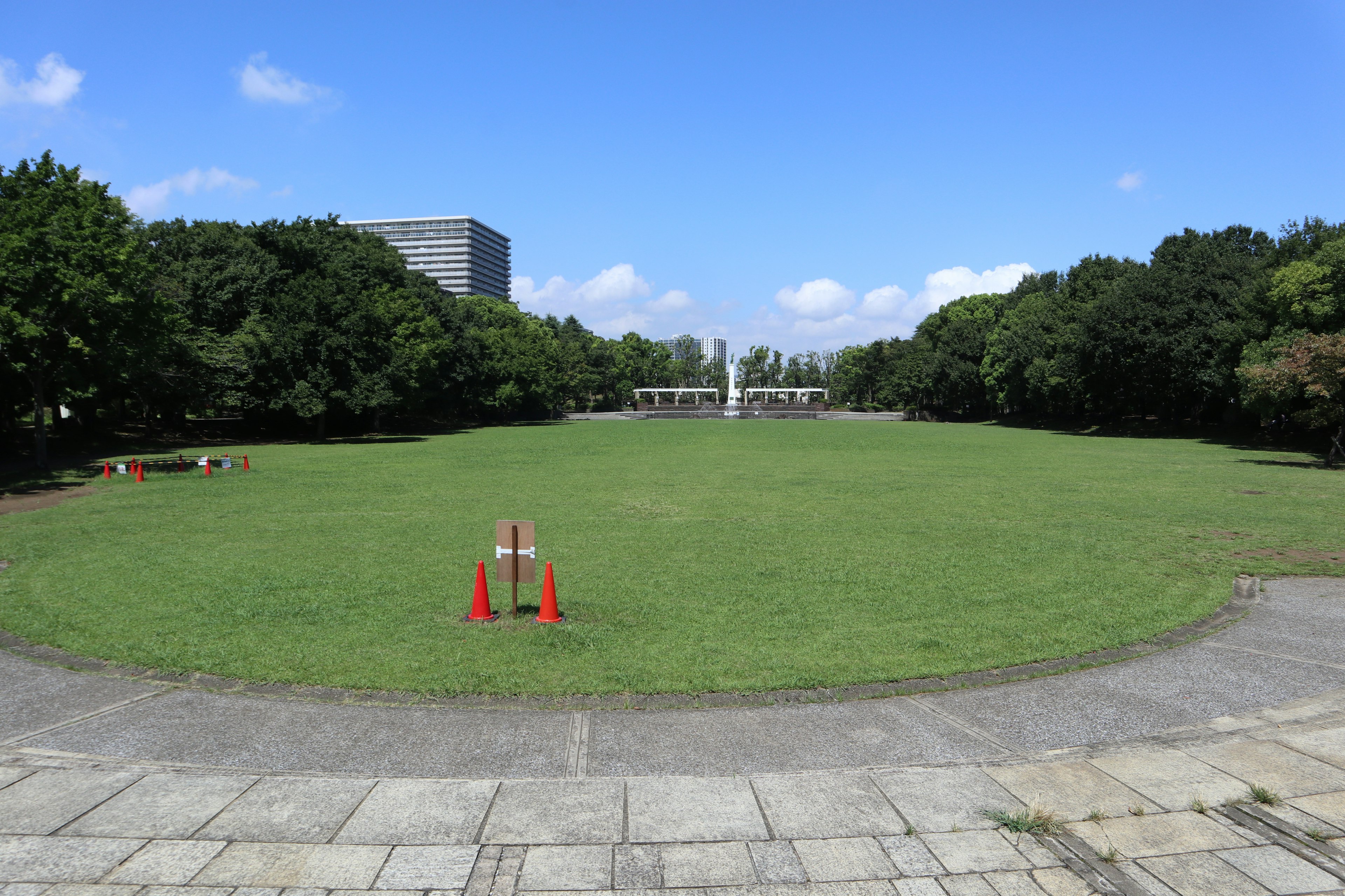 広い緑地と青い空に囲まれた公園の景色