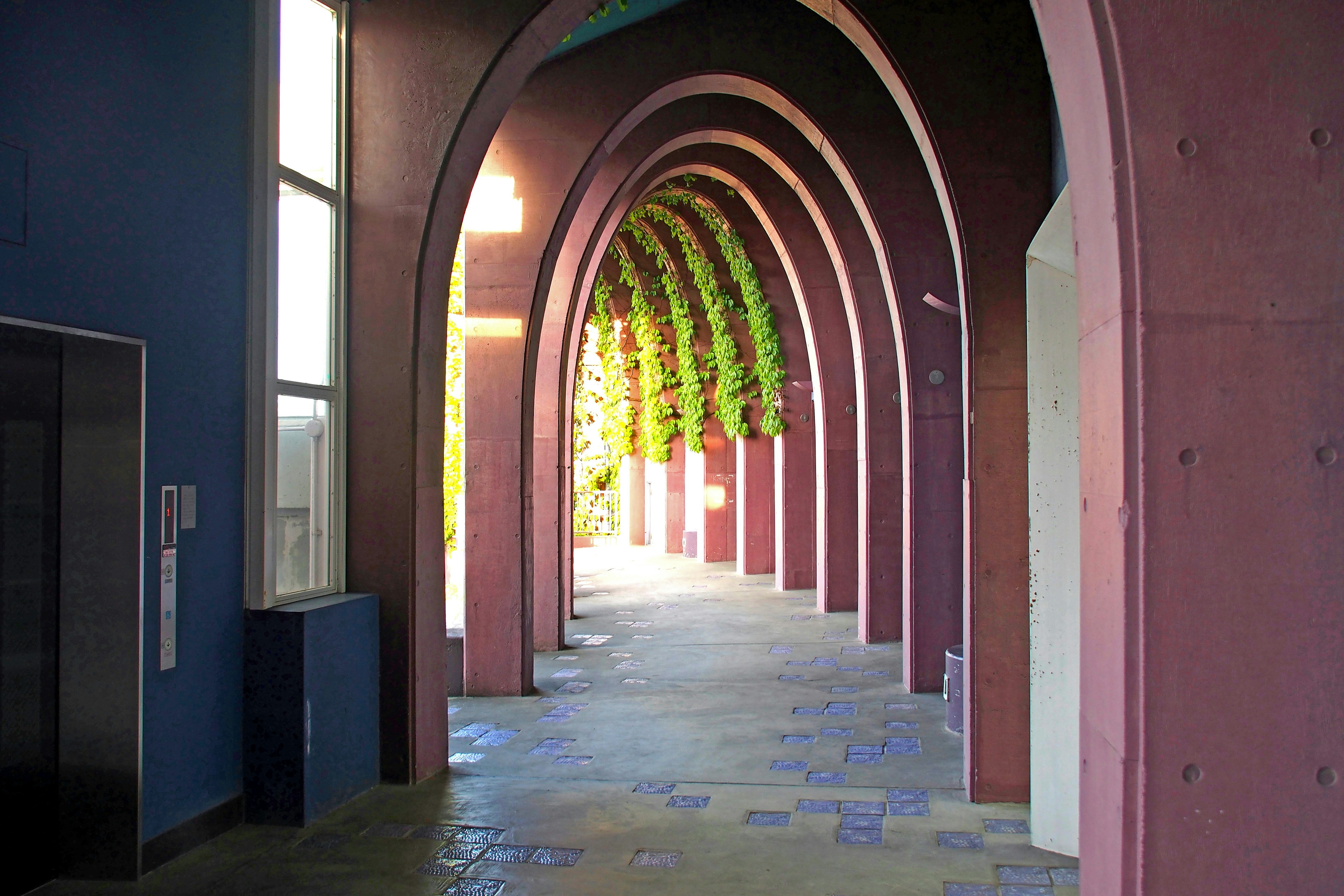 Couloir voûté coloré avec de la verdure et des murs vibrants