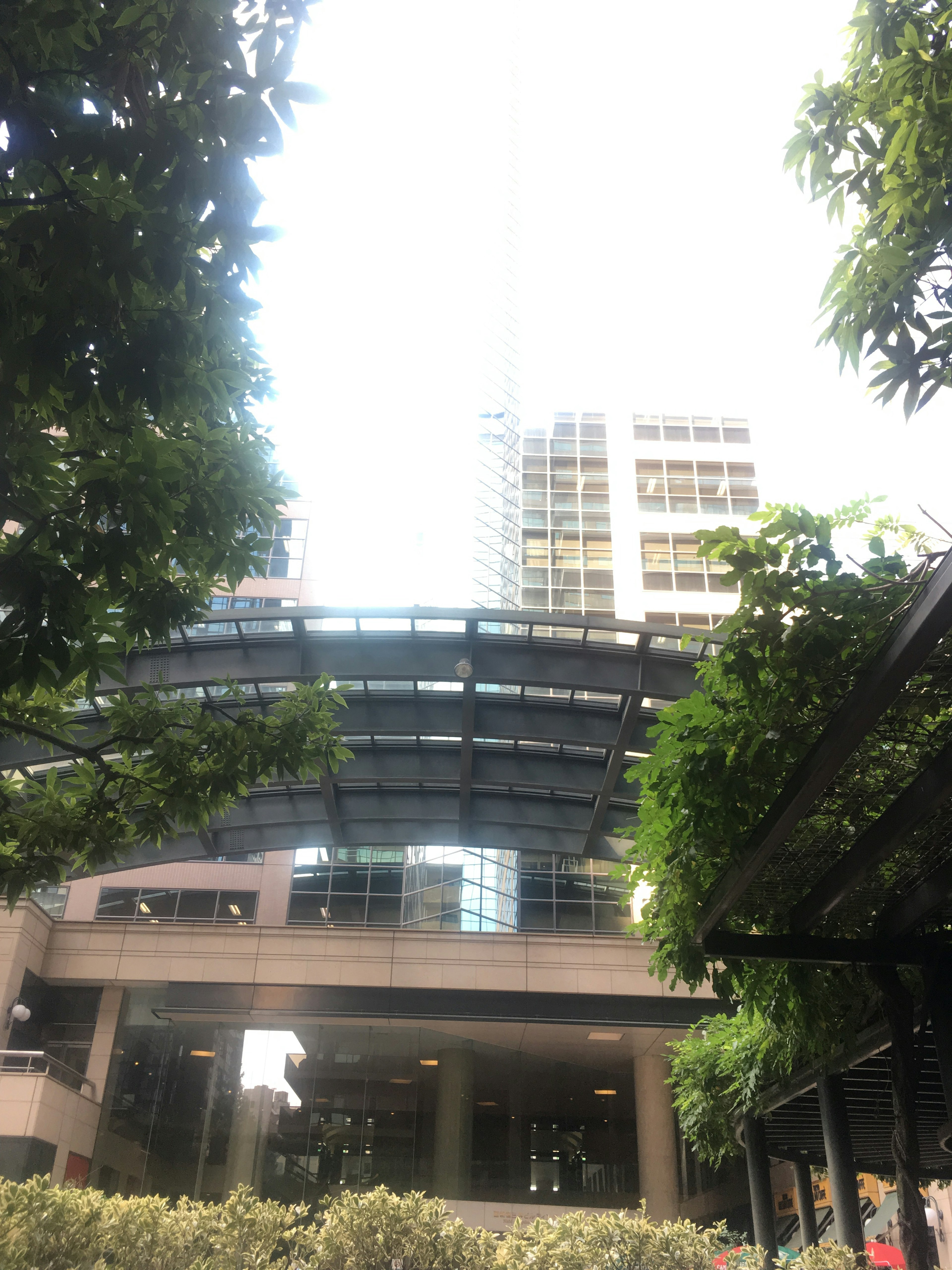 Stadtlandschaft mit einem Hochhaus und üppigen grünen Bäumen