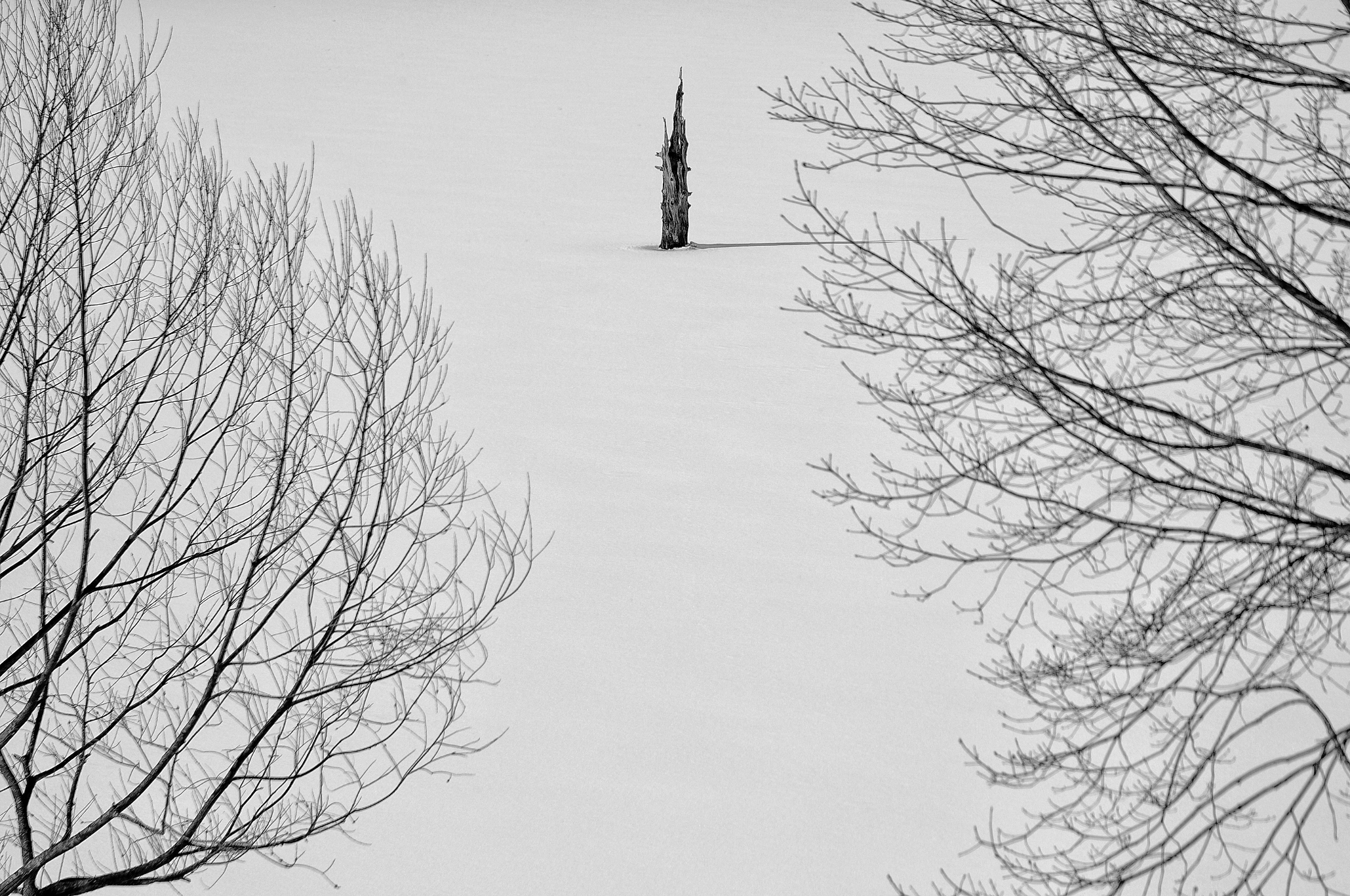 Turm in einer schneebedeckten Landschaft mit umliegenden Bäumen