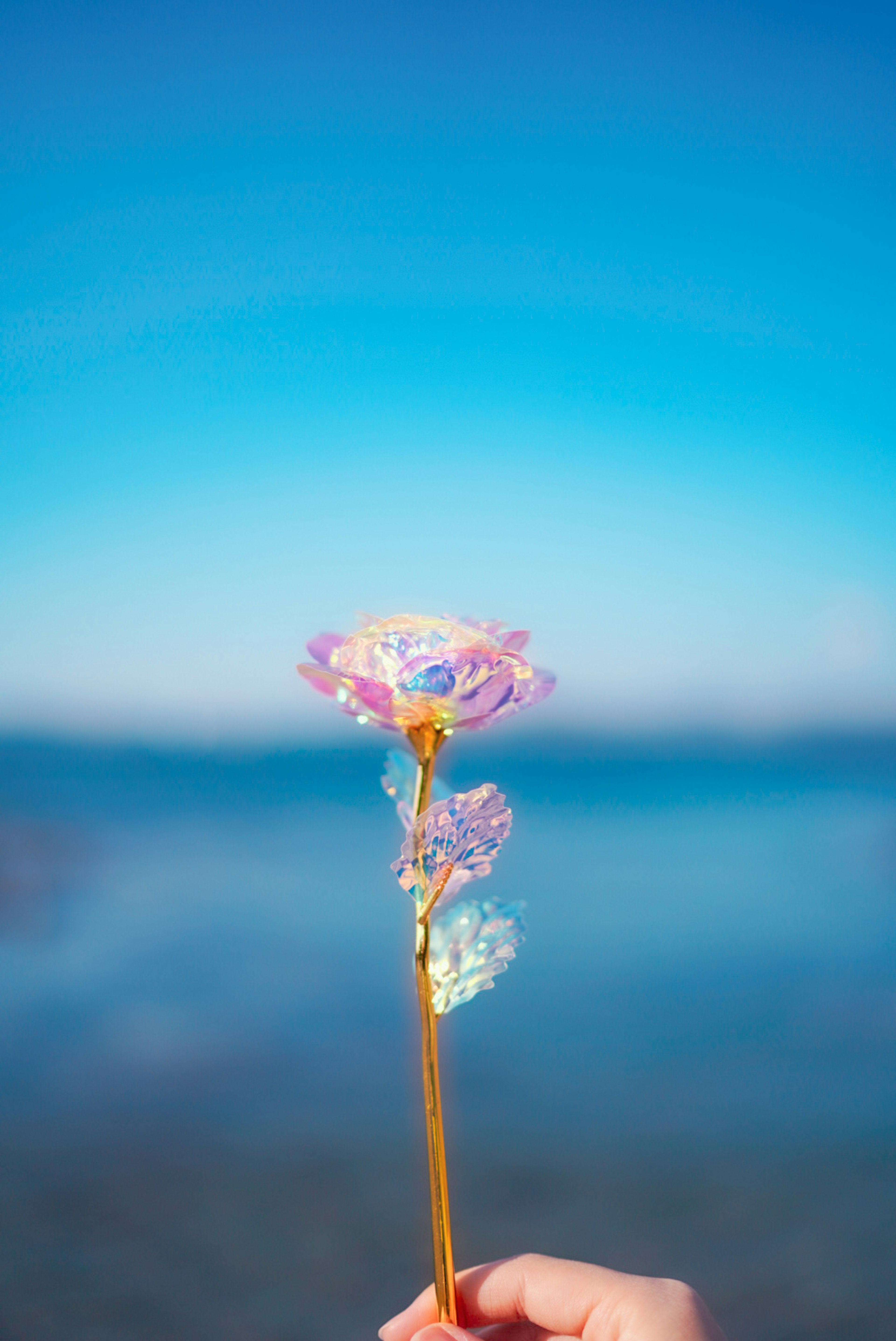 A hand holding a transparent flower with a blue sky in the background