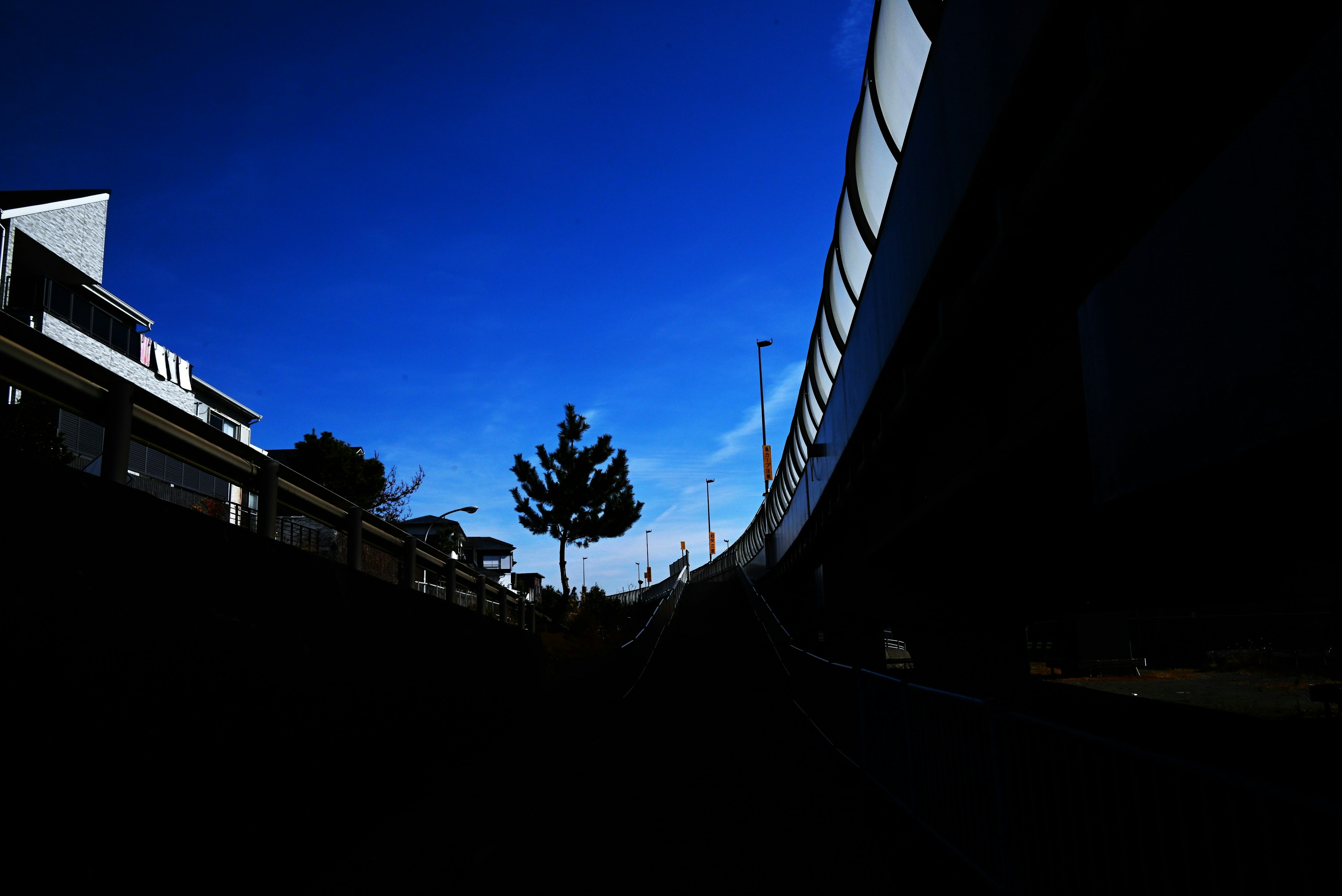 Silhouette of trees and buildings under a blue sky