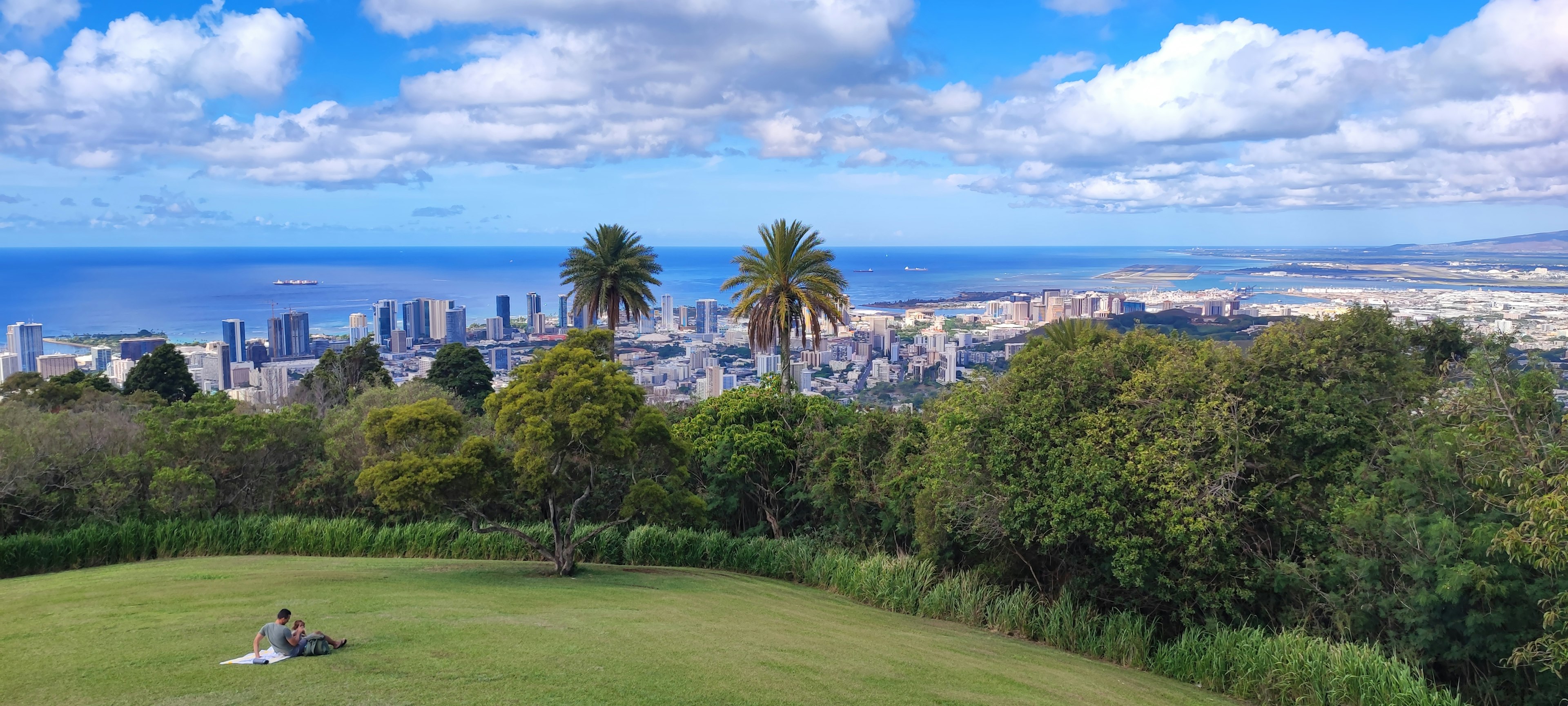 Vista desde una colina verde que muestra un paisaje urbano junto al mar bajo un cielo azul con nubes blancas