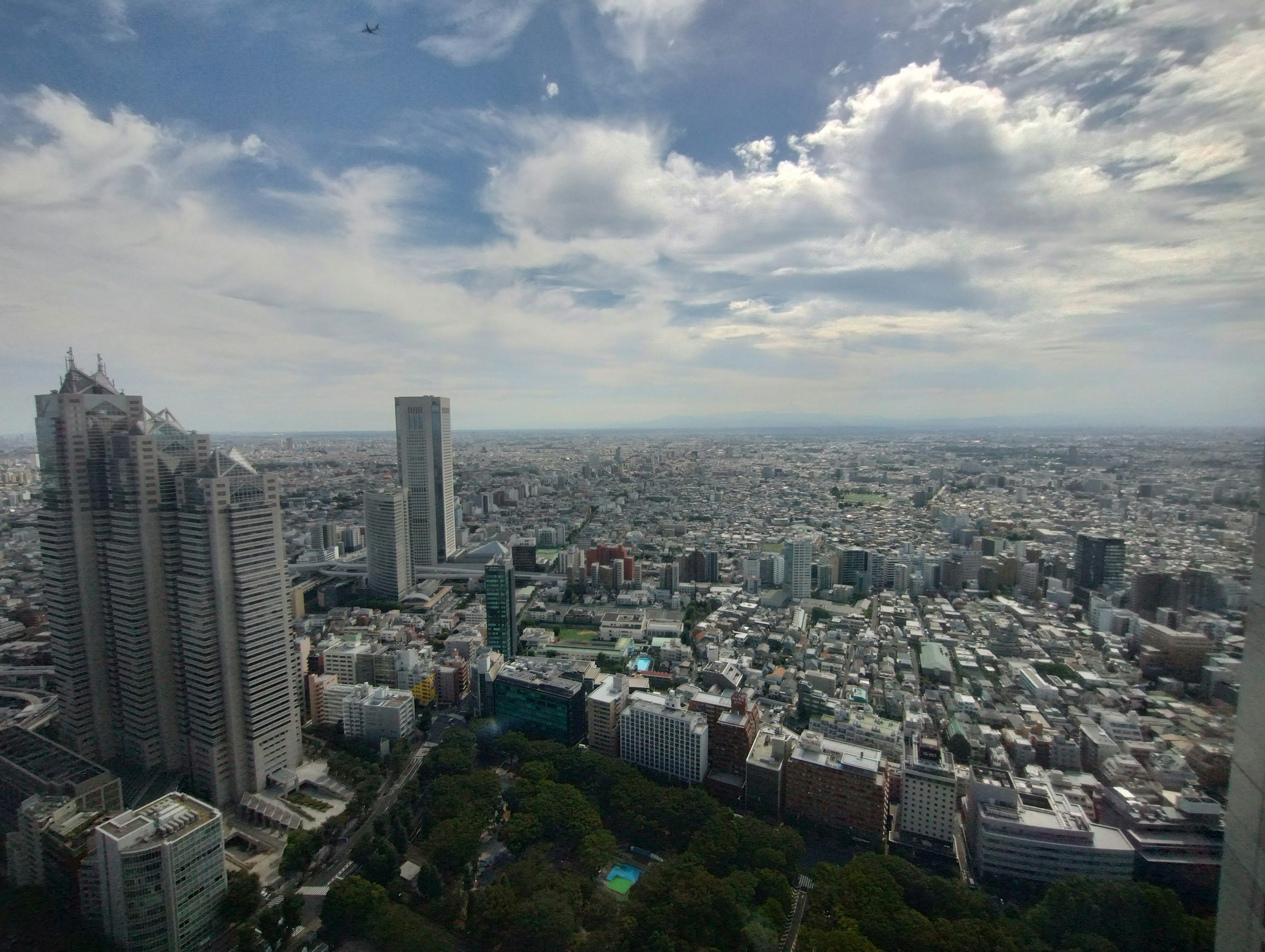 Pemandangan panorama lanskap perkotaan Tokyo dengan gedung pencakar langit dan area pemukiman yang luas