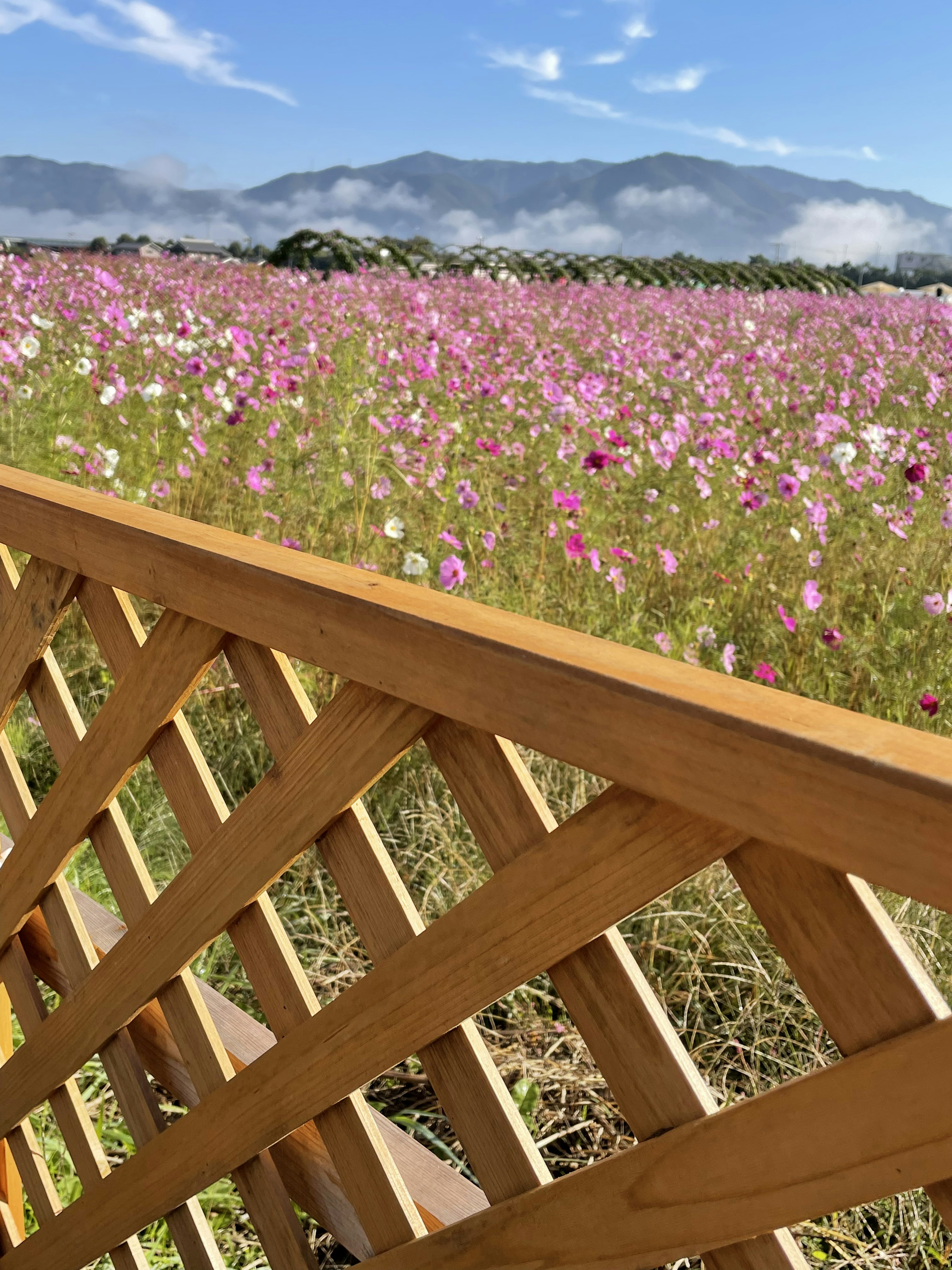 花畑と山の風景を背景にした木製のフェンス