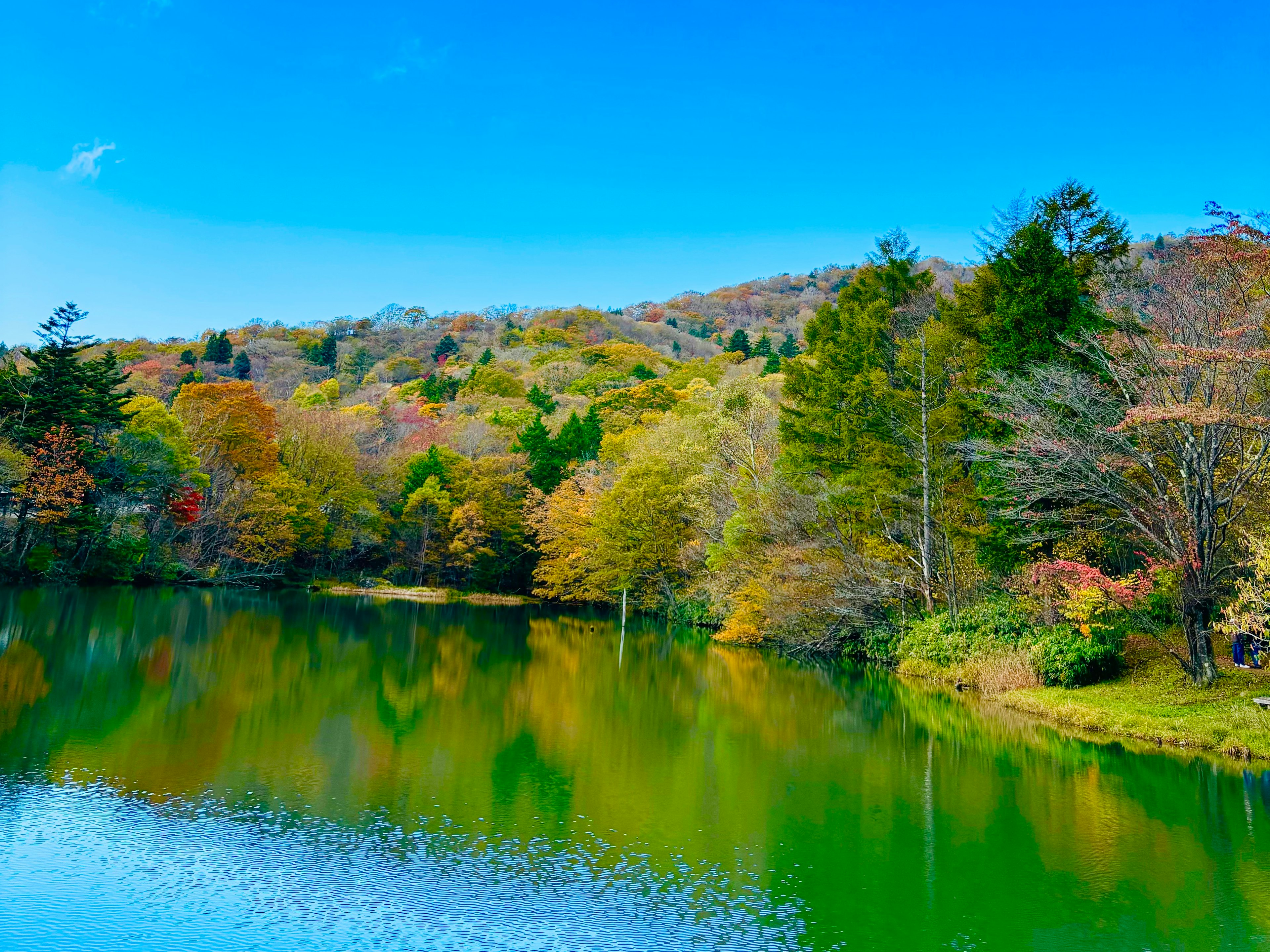 Scenic lake with colorful autumn foliage and clear blue sky