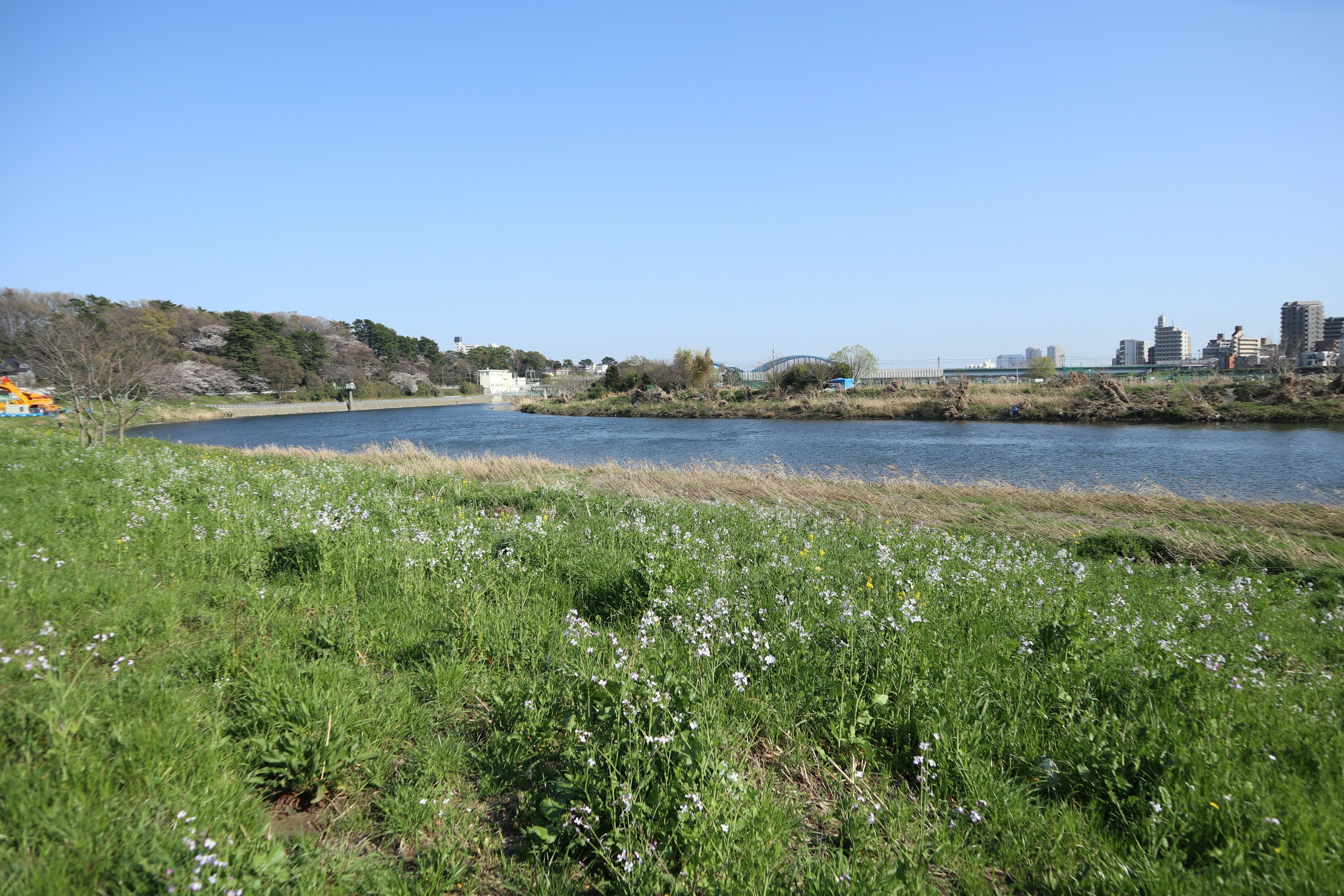 Grüne Landschaft mit einem Fluss unter einem blauen Himmel