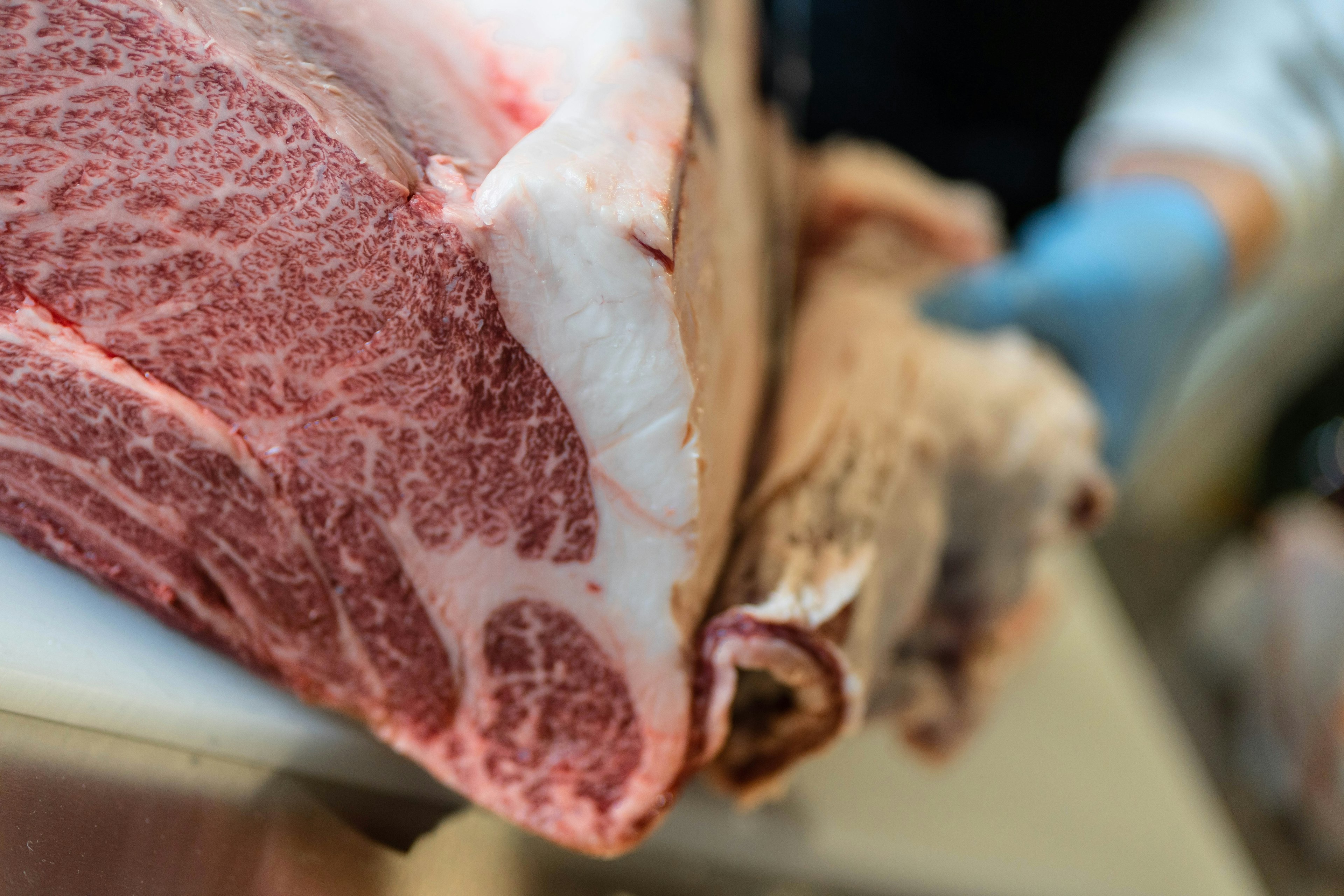 Close-up of a marbled cut of meat showcasing rich textures and colors