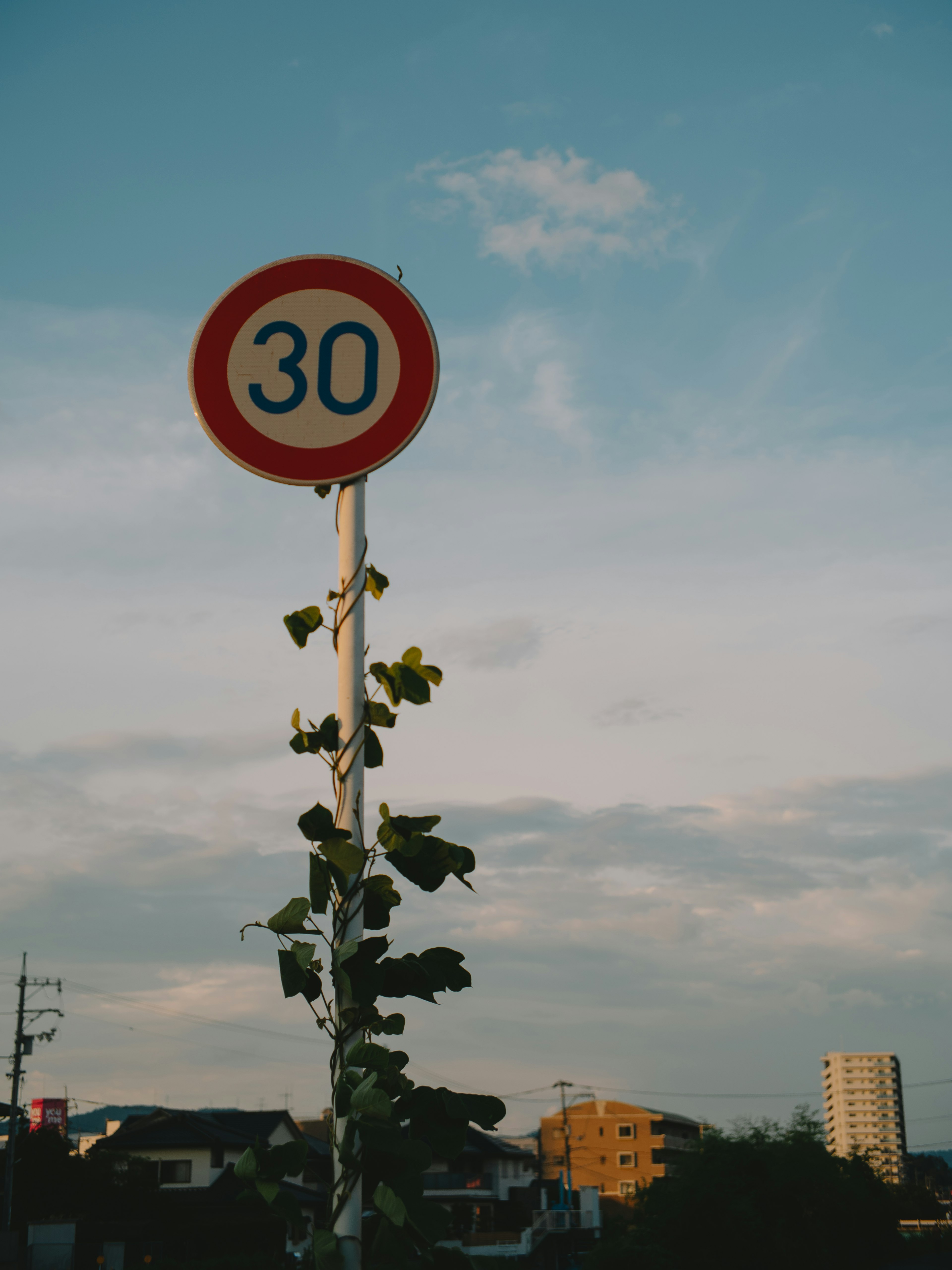 Panneau de limitation de vitesse indiquant 30 km entouré de verdure et de bâtiments