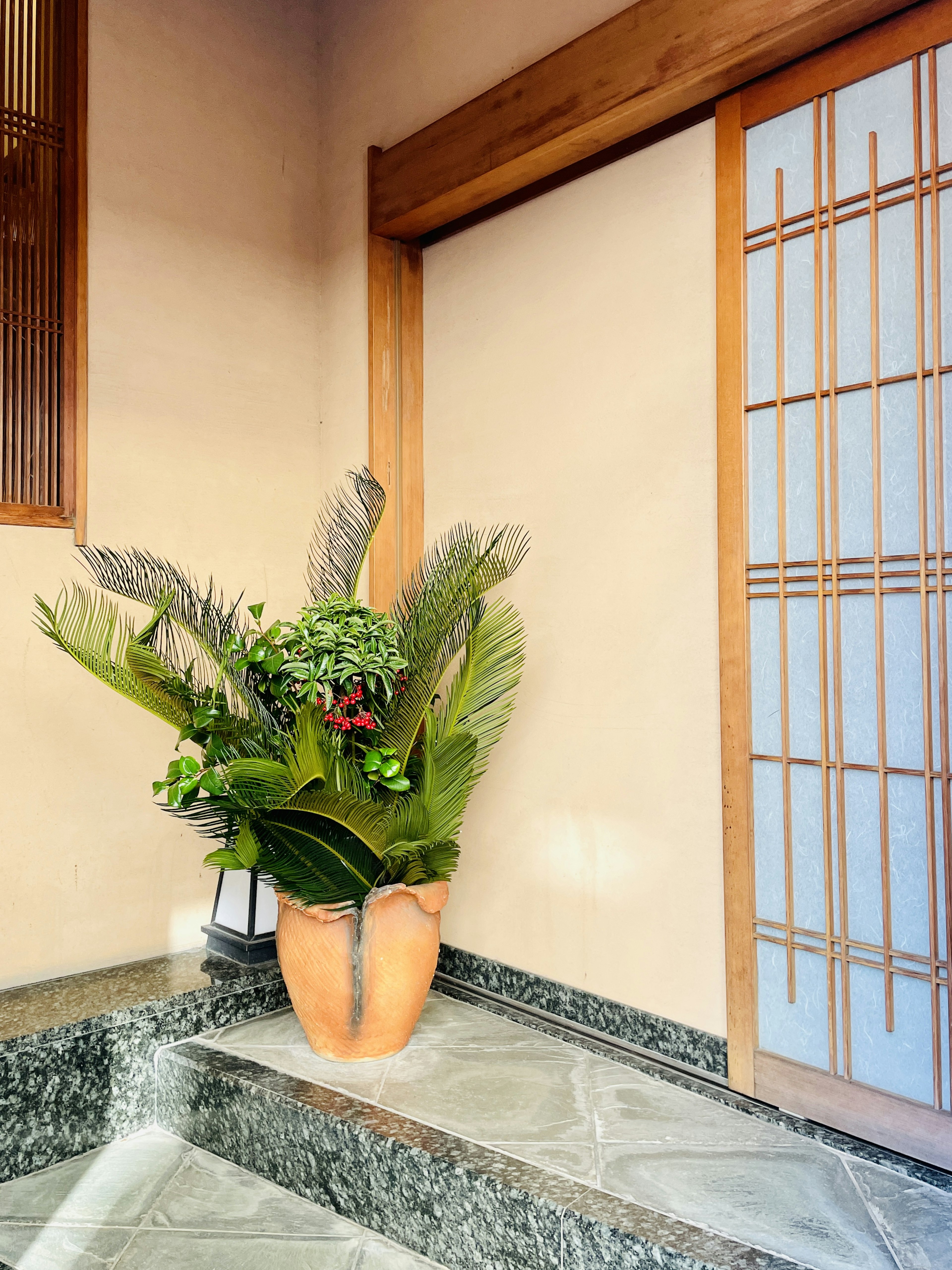 Entrada interior con una planta decorativa en maceta y una puerta deslizante tradicional