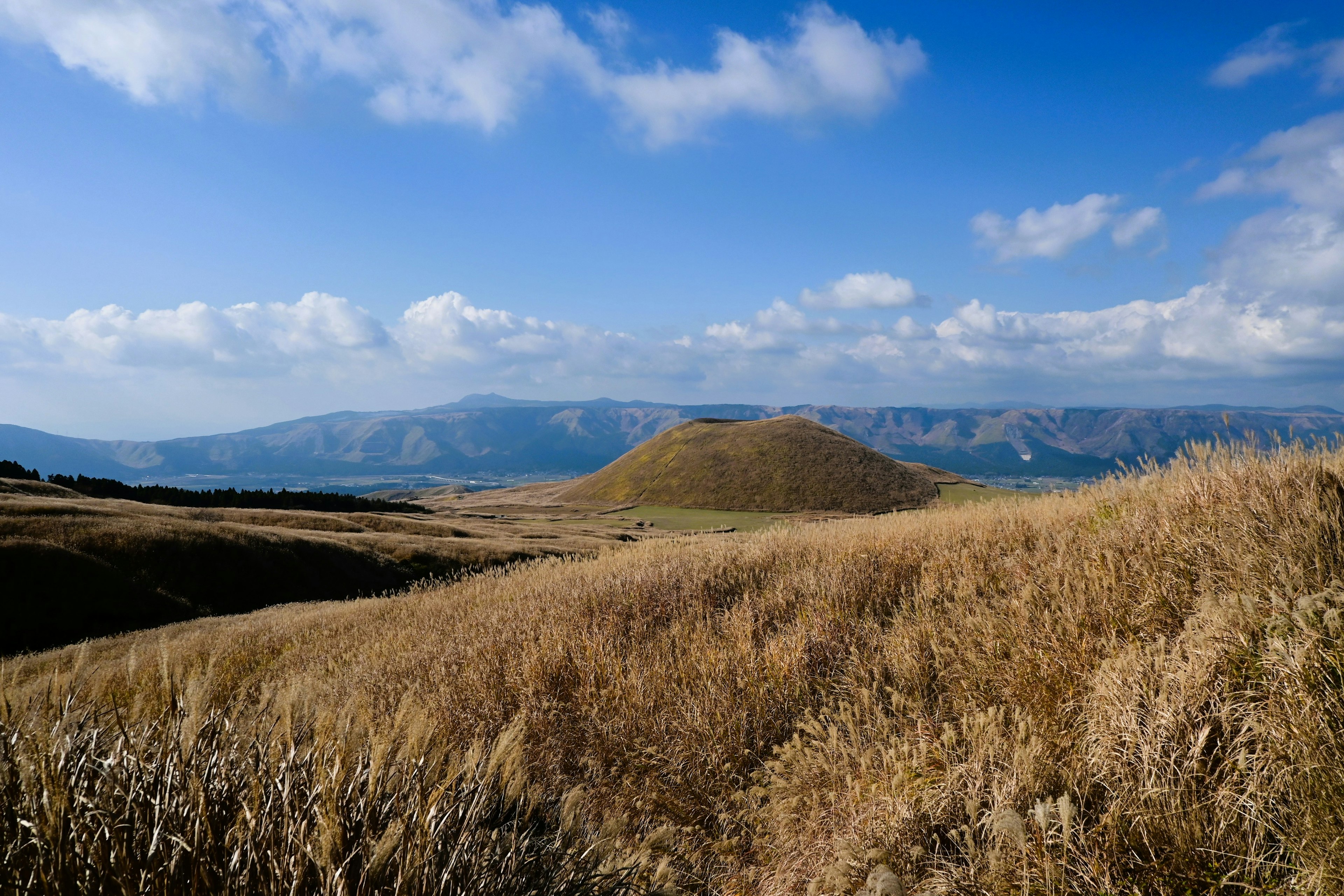 Vue panoramique de collines ondulantes et de champs herbeux sous un ciel bleu