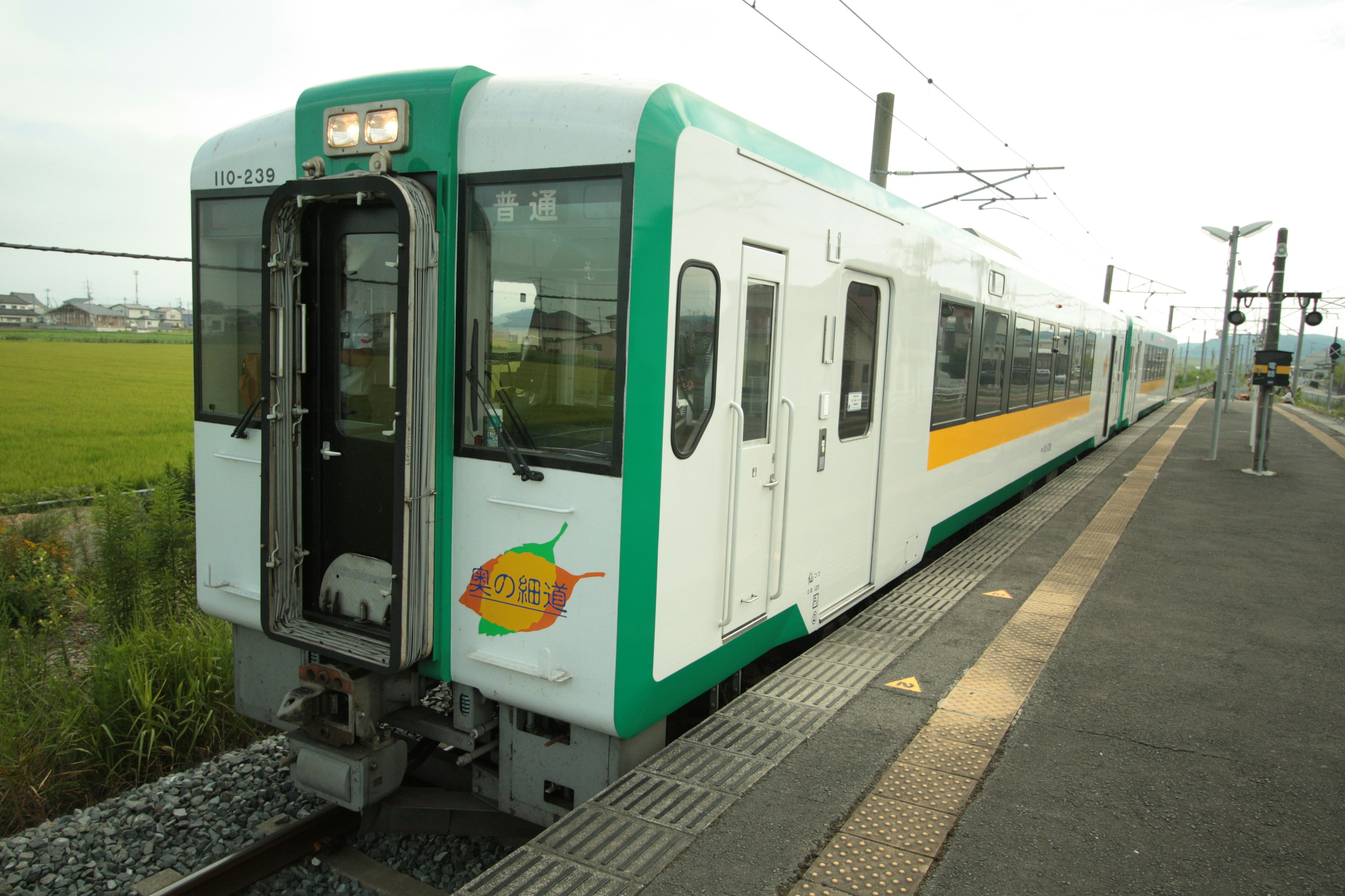 Train vert et blanc à une station rurale avec des rizières