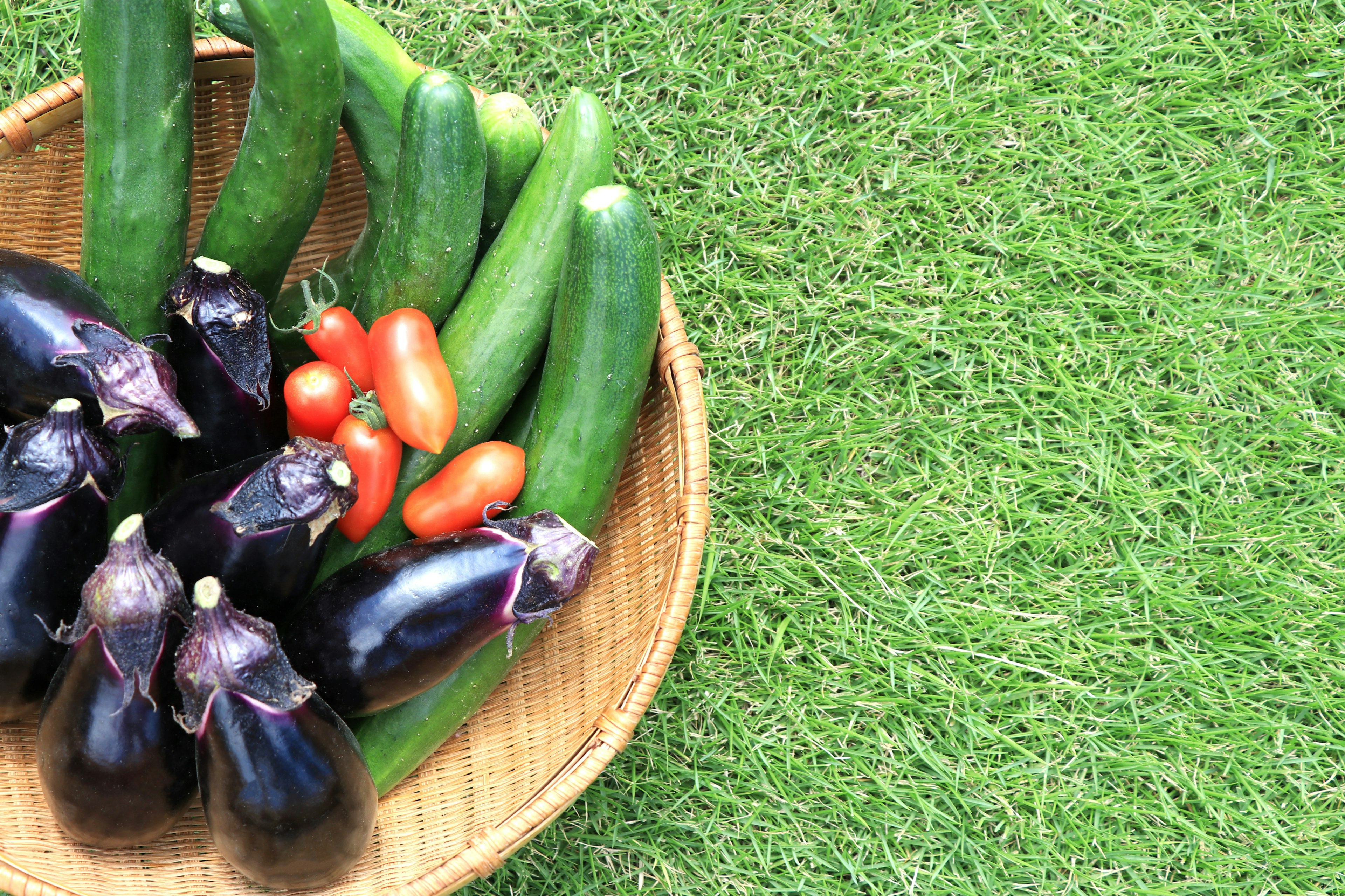 A basket filled with fresh vegetables including eggplants cucumbers and tomatoes