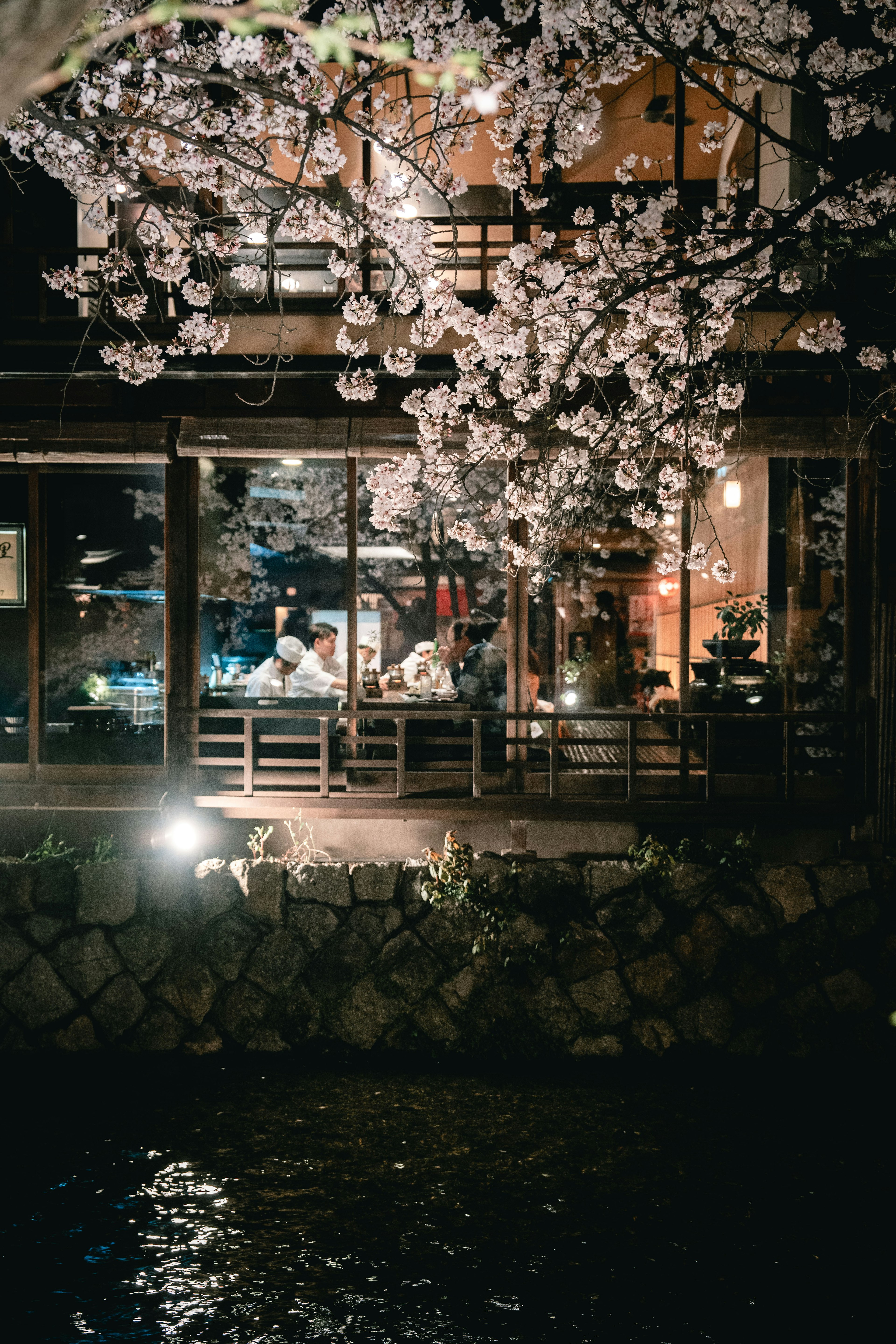 Vista notturna di un ristorante giapponese con fiori di ciliegio