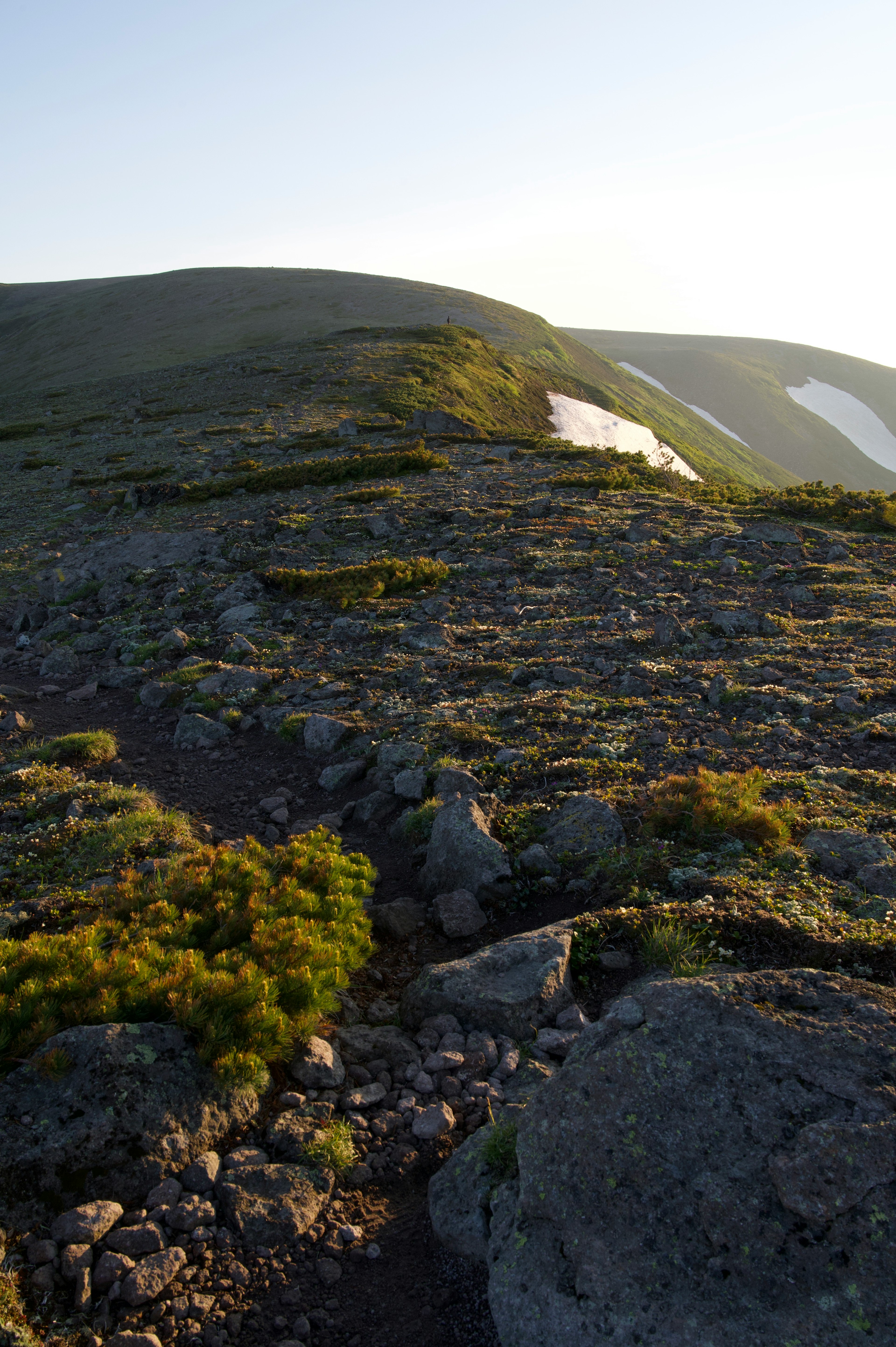 Paesaggio roccioso con vegetazione sparsa su una pendice montuosa