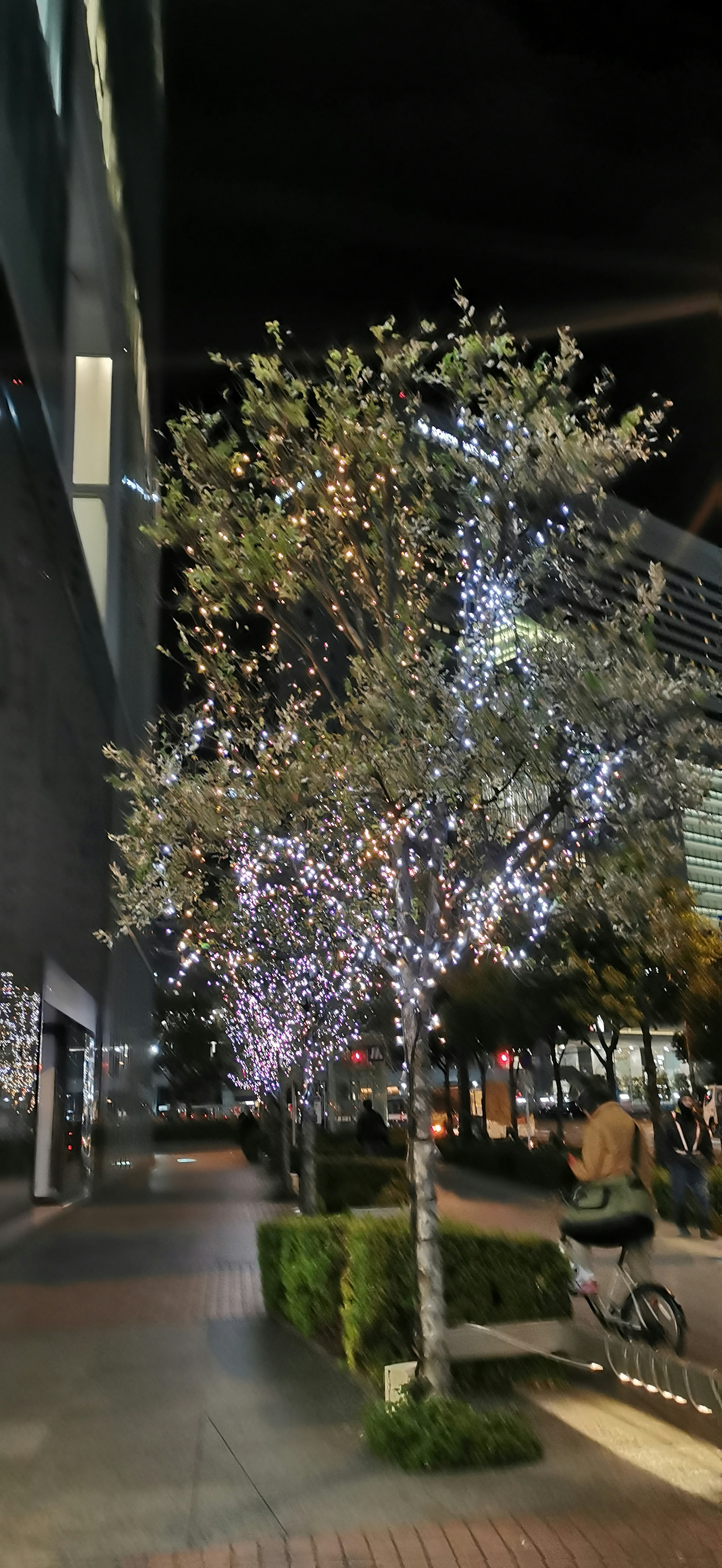 A tree decorated with lights stands in a city at night